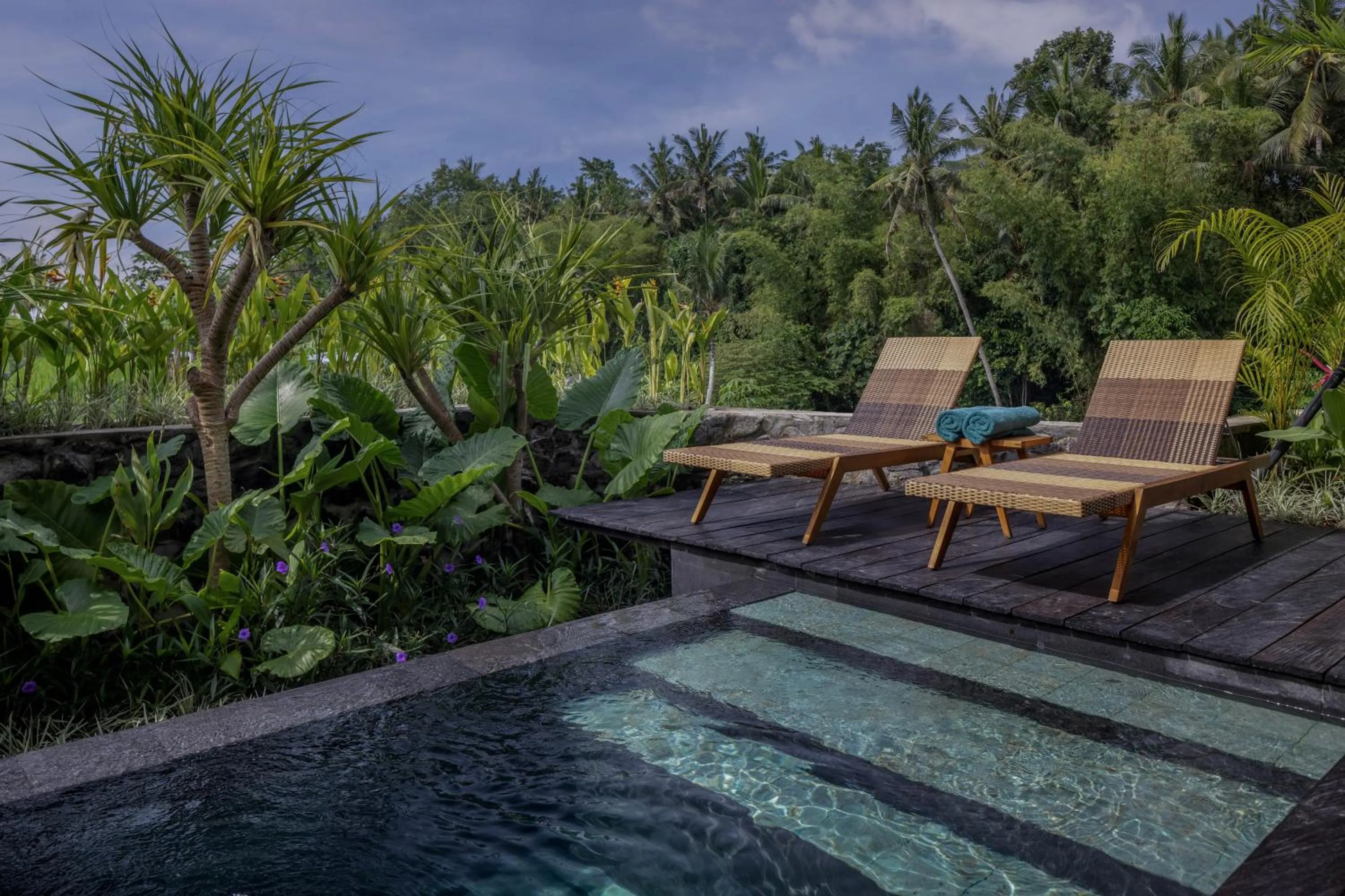 Pool view in Gdas Bali Health and Wellness Resort - Adult Only