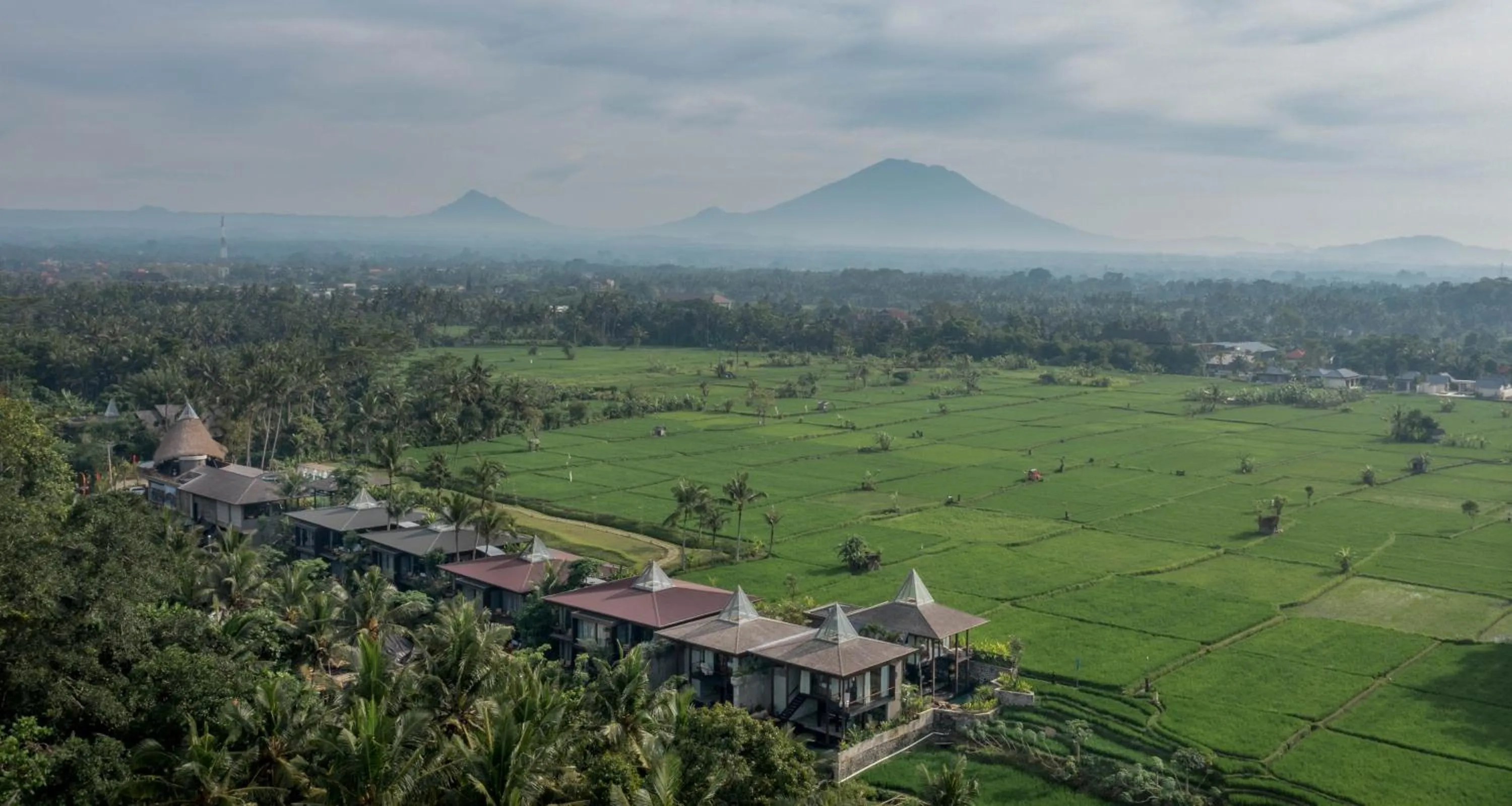 Natural landscape in Gdas Bali Health and Wellness Resort - Adult Only