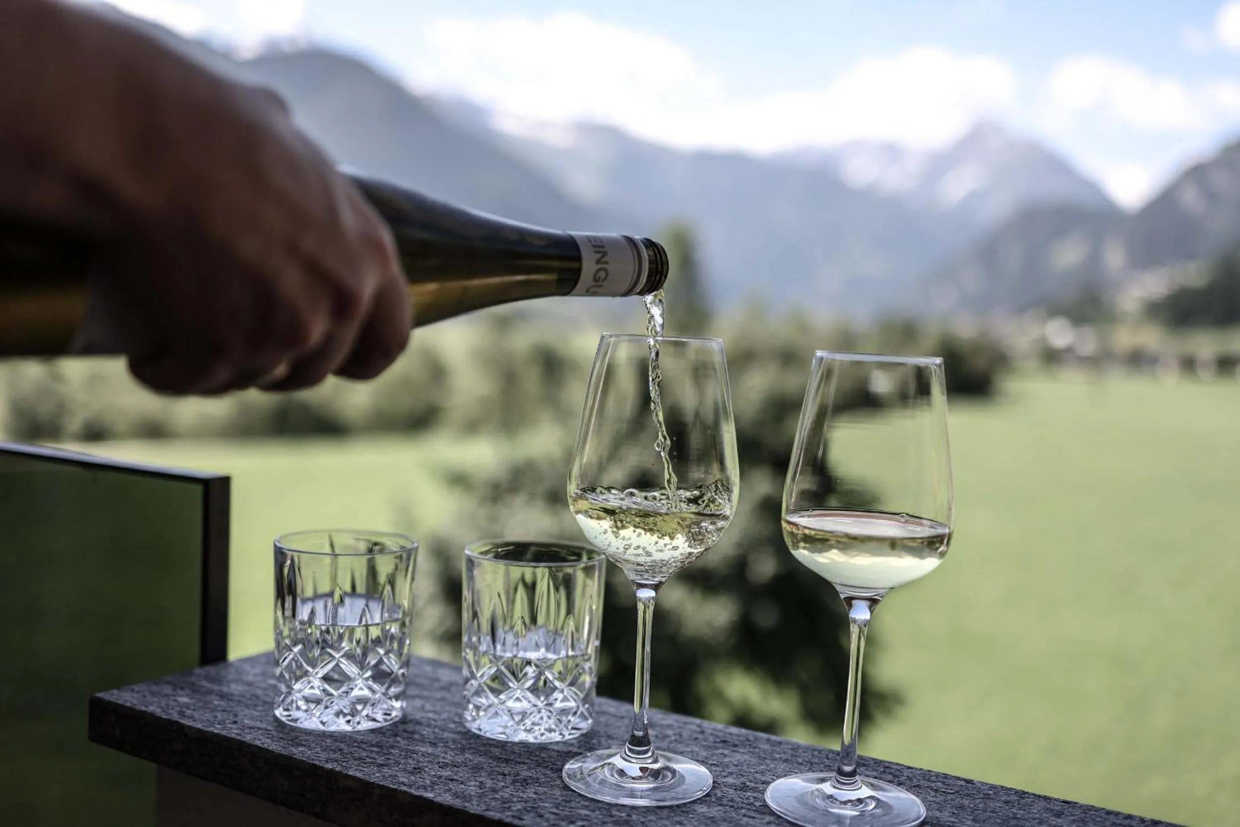 Mountain view in Metzgerwirt