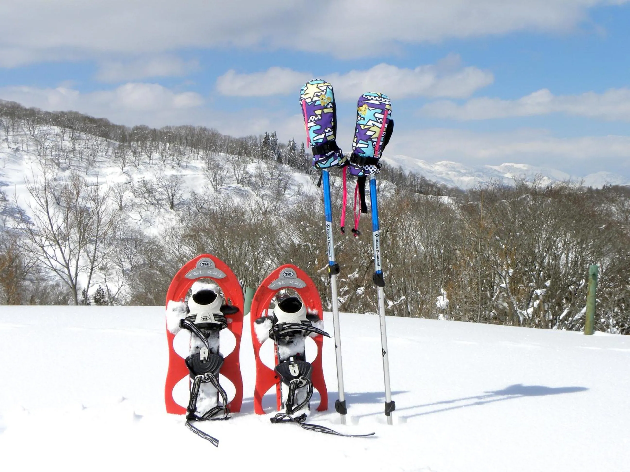 Winter in Petit Hotel Kazekozou