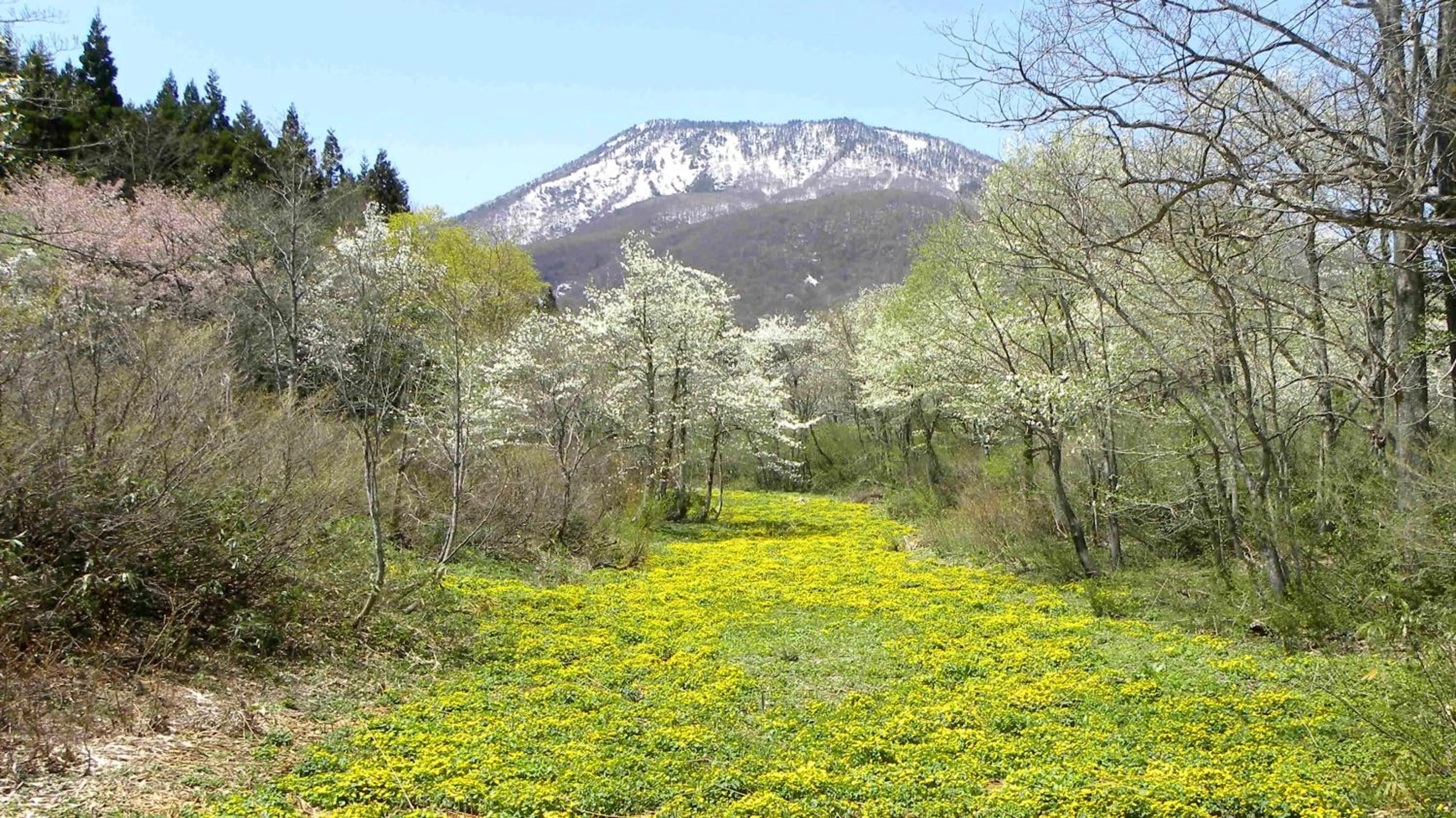 Natural landscape in Petit Hotel Kazekozou