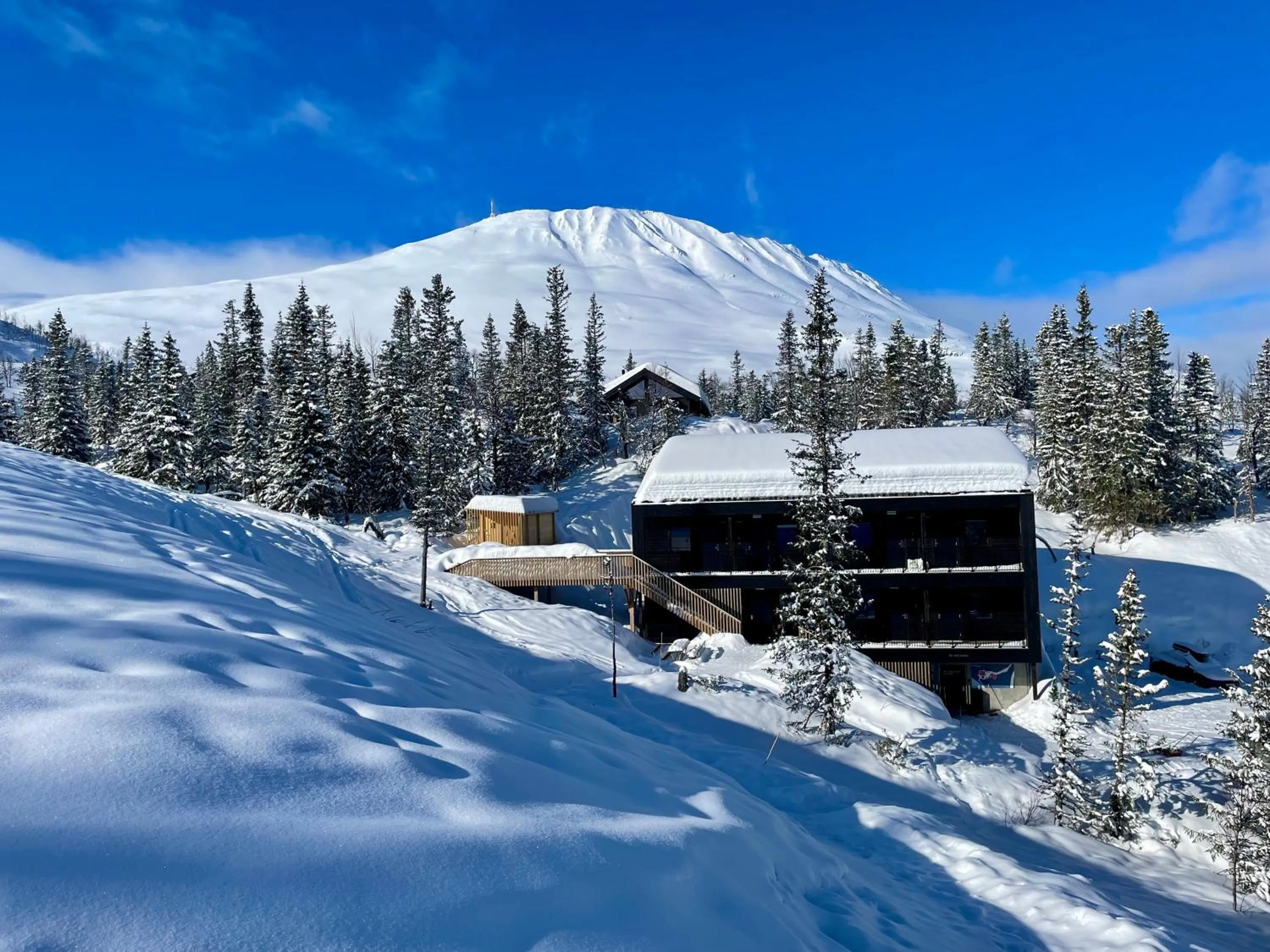 Property building in Gausta View