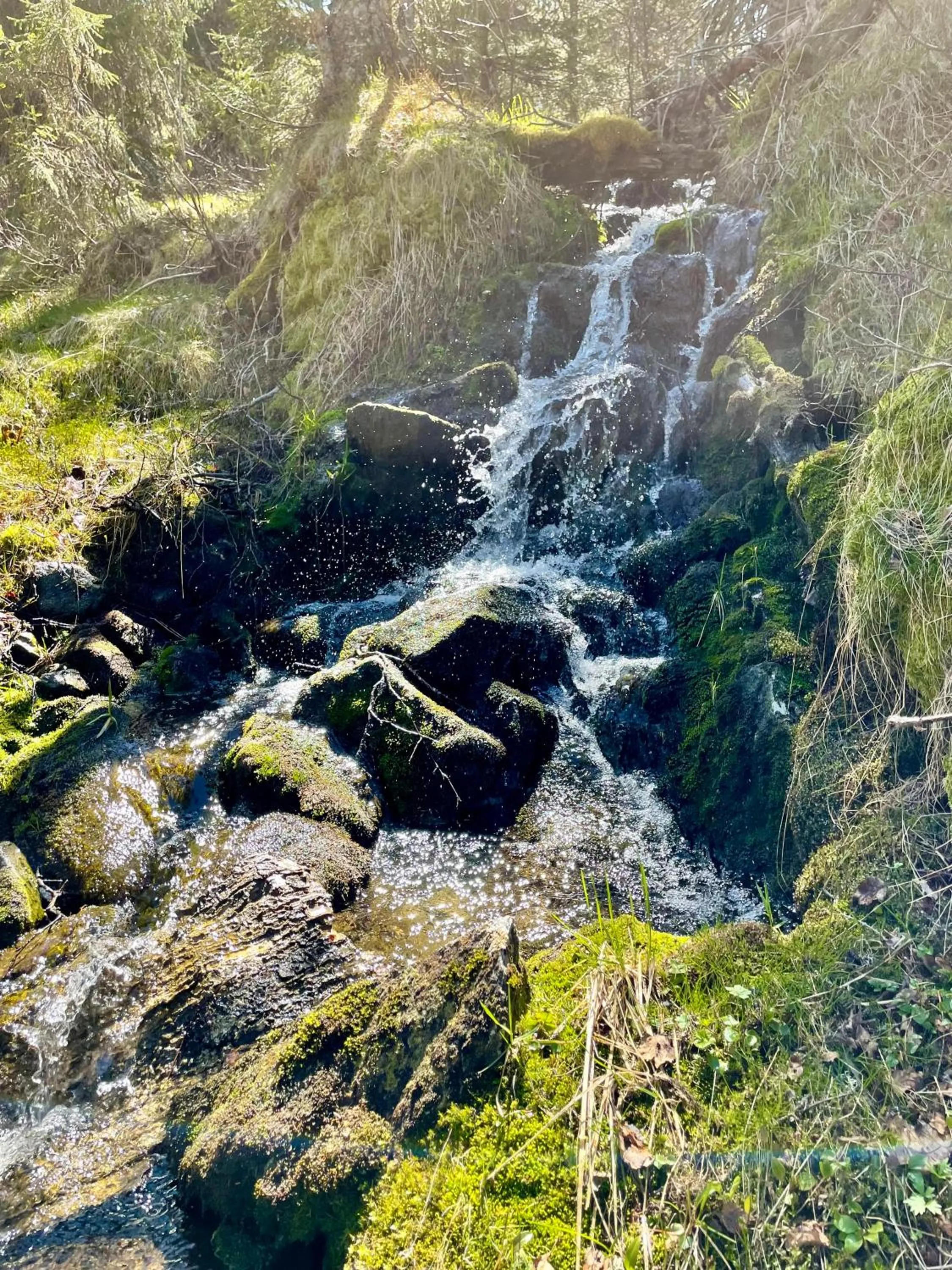 Spring in Gausta View
