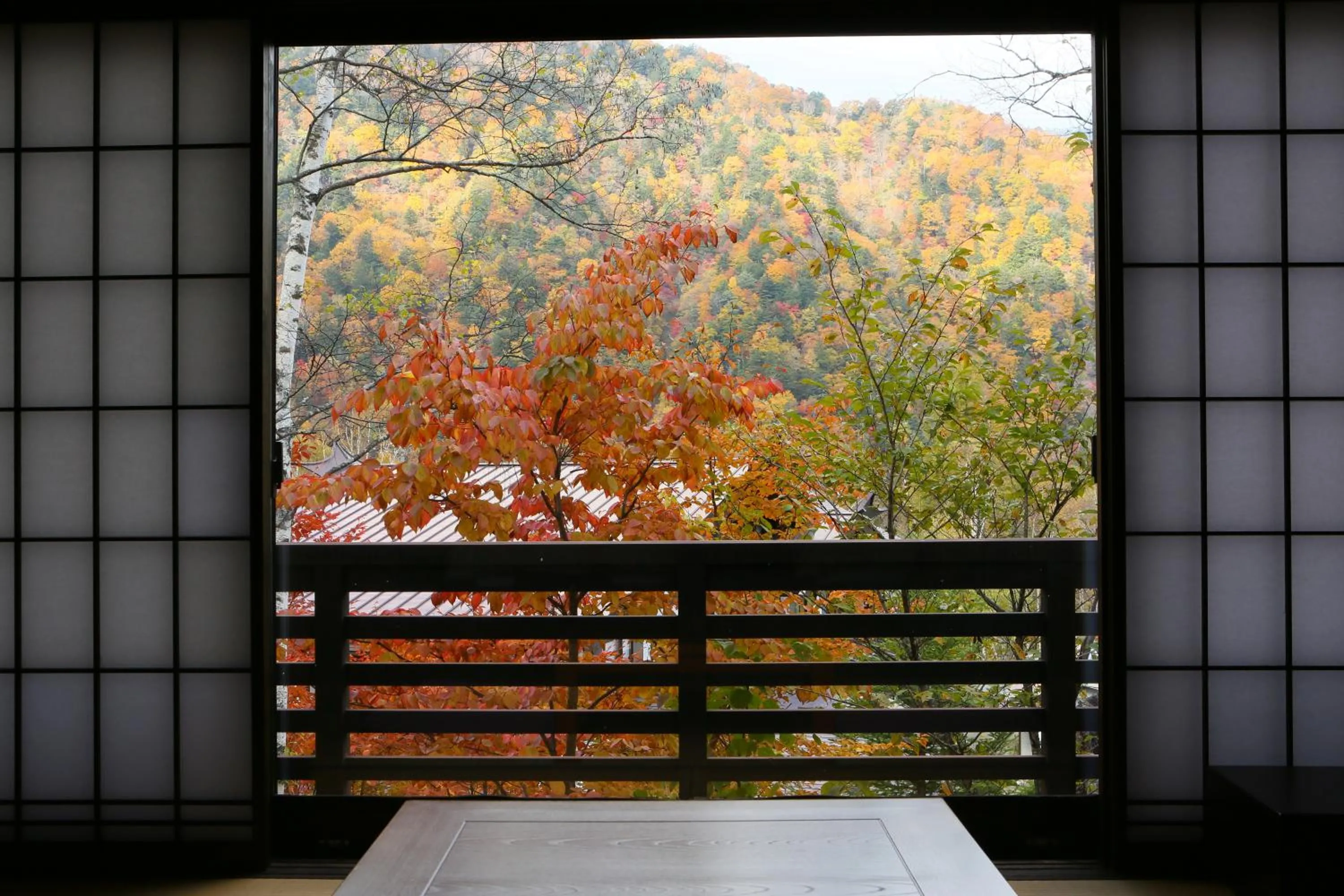 View (from property/room) in Konashi No Yu Sasaya