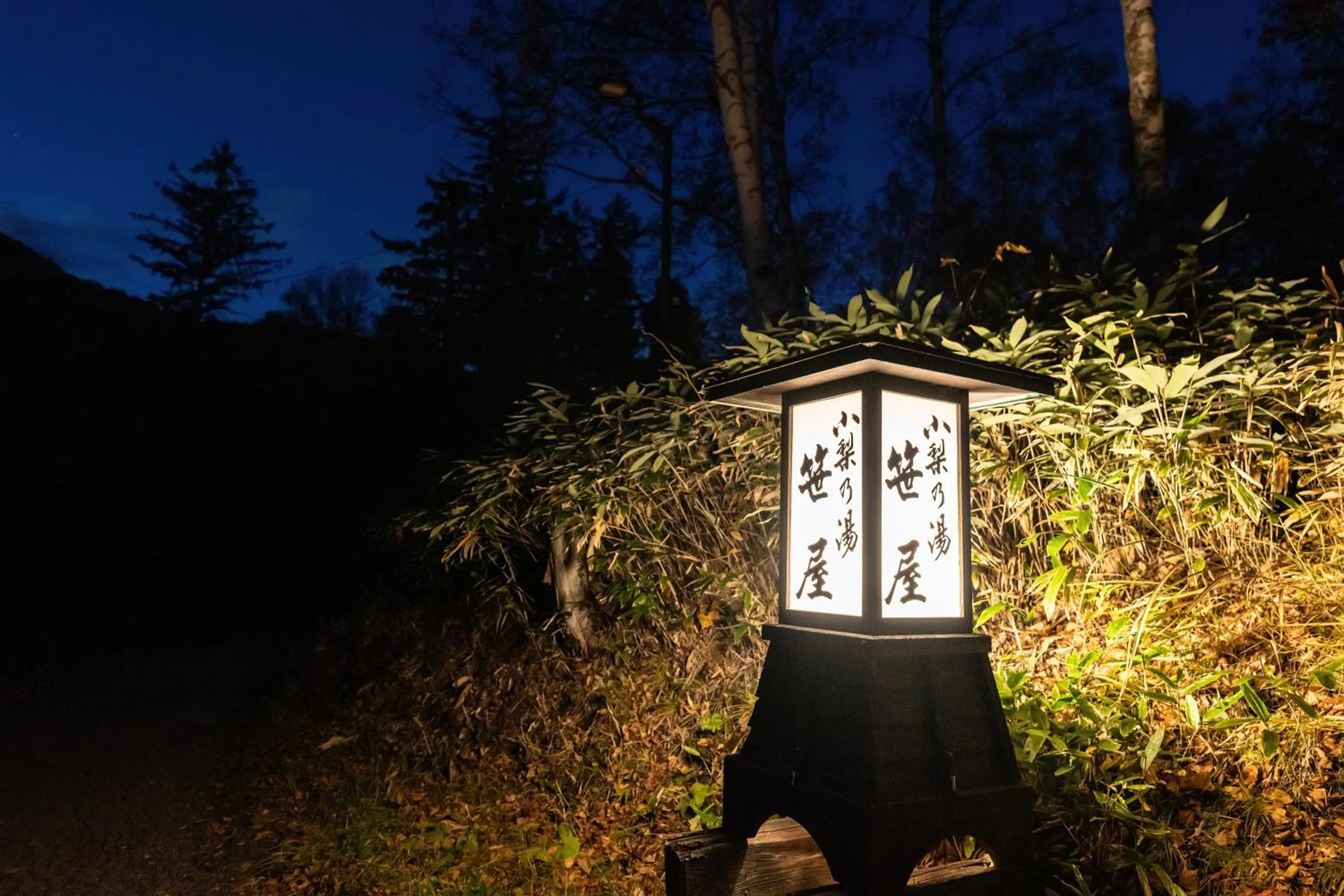 Night in Konashi No Yu Sasaya