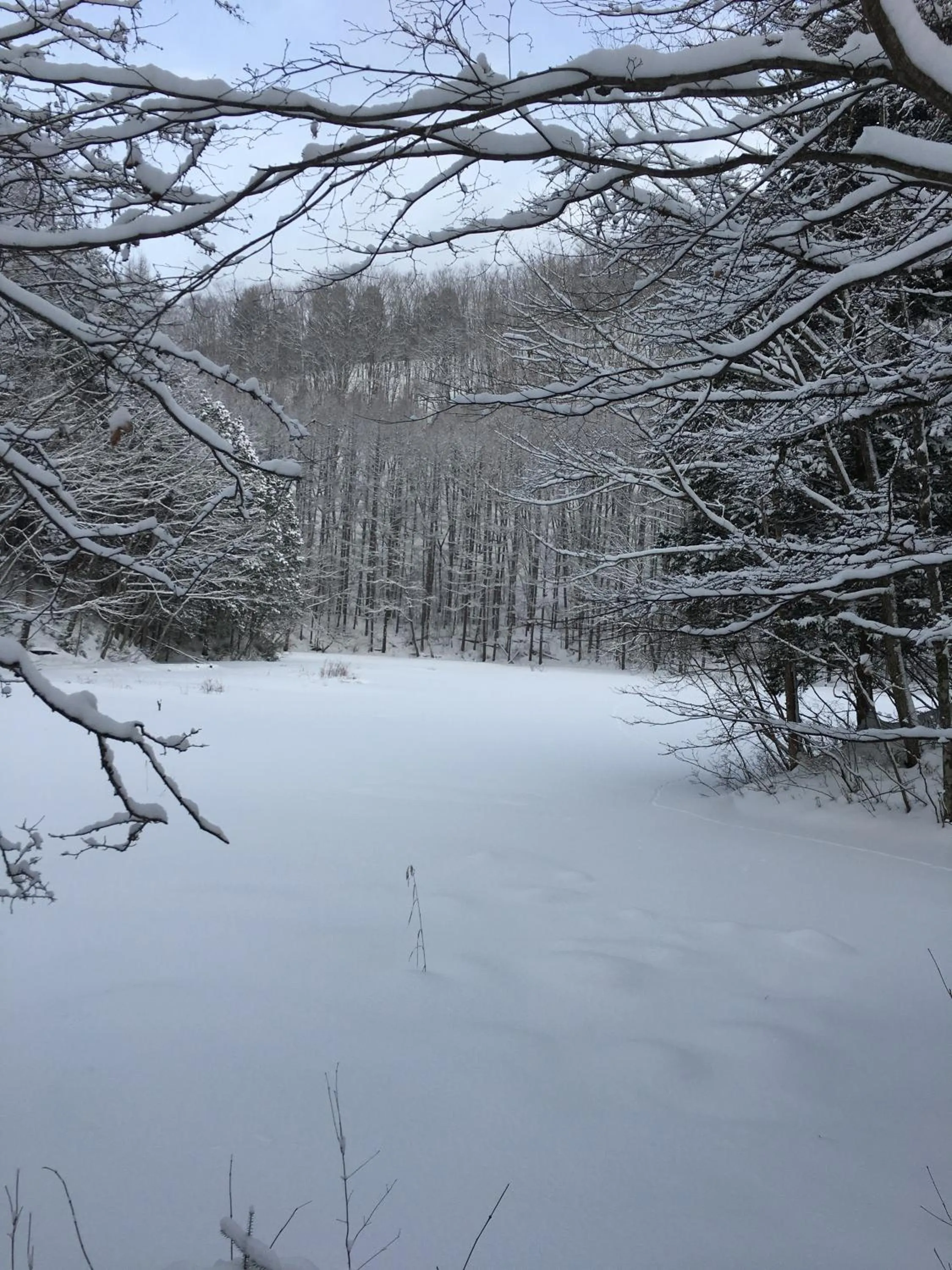 Off site in Keiryuso Siorie