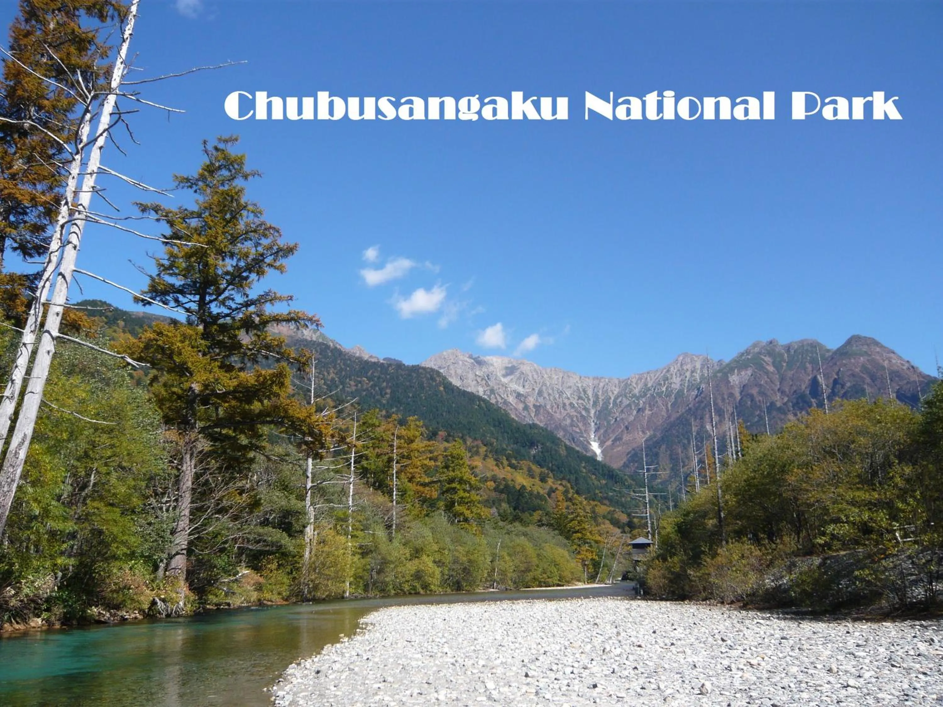 Spring in Keiryuso Siorie