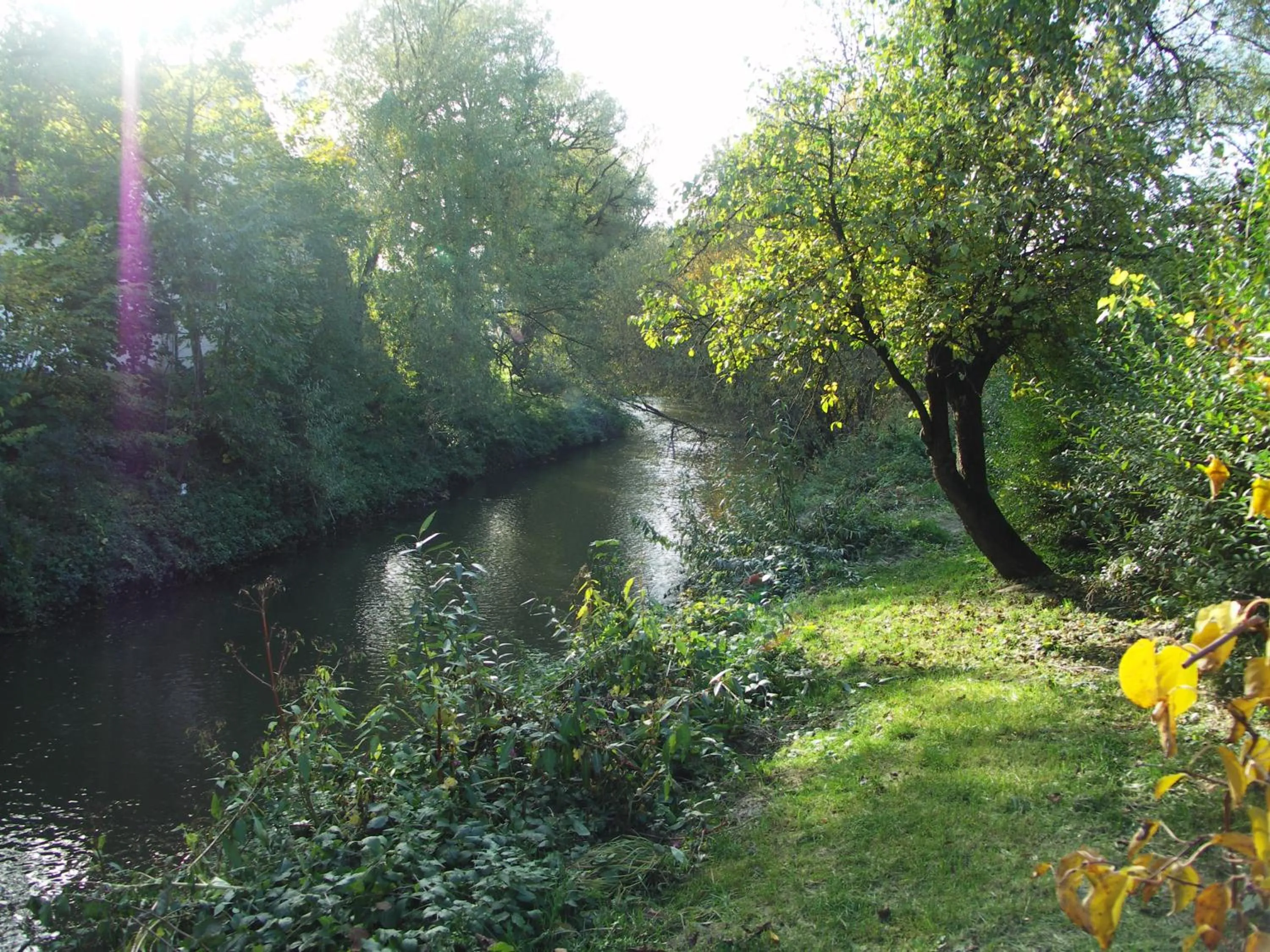 Aqua park in ARRIVEL Pension Haus am Bach