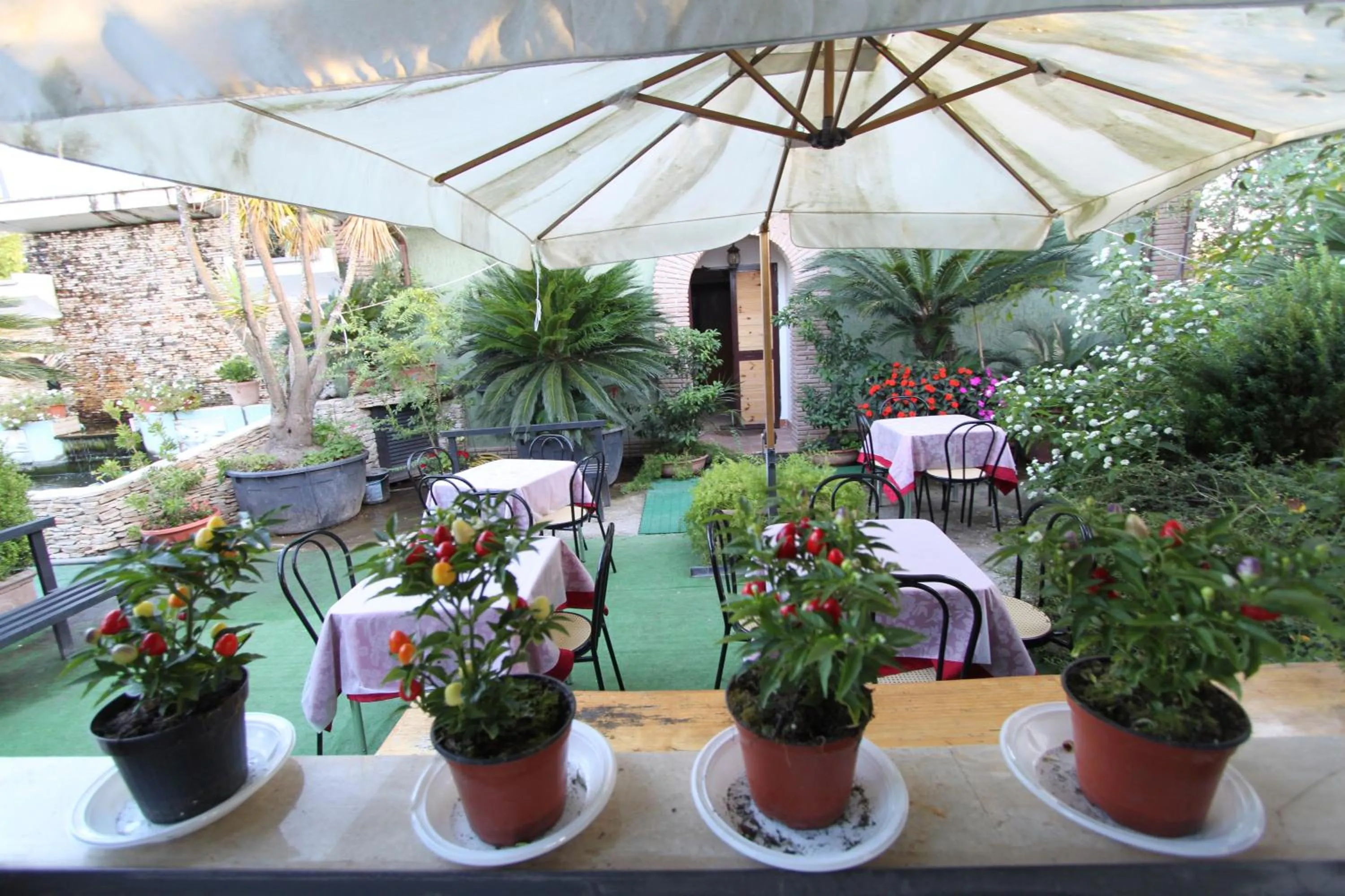 Restaurant/places to eat in Villa Patrizia