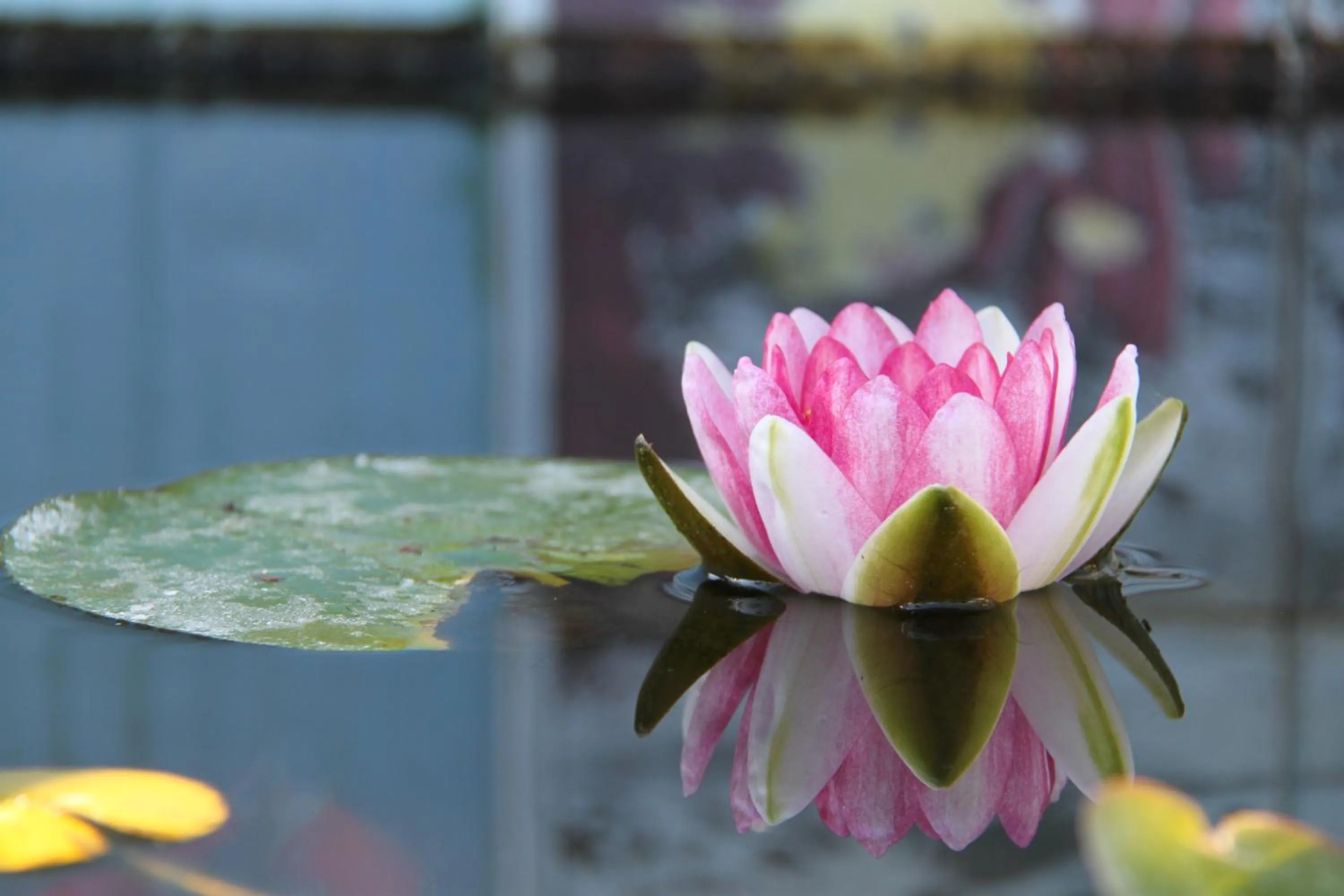 Facade/entrance in Villa Patrizia