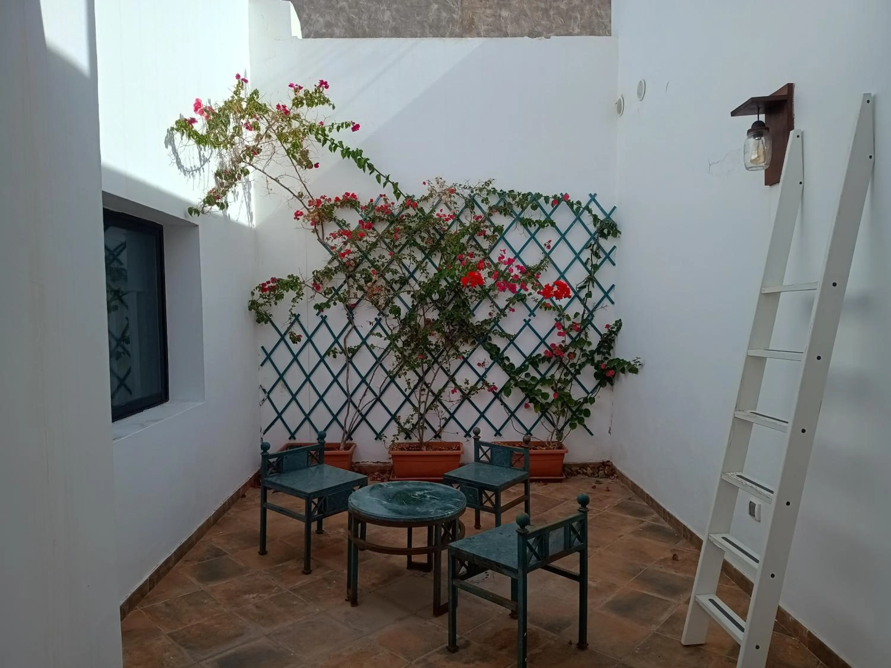 Inner courtyard view in Casa Mocan