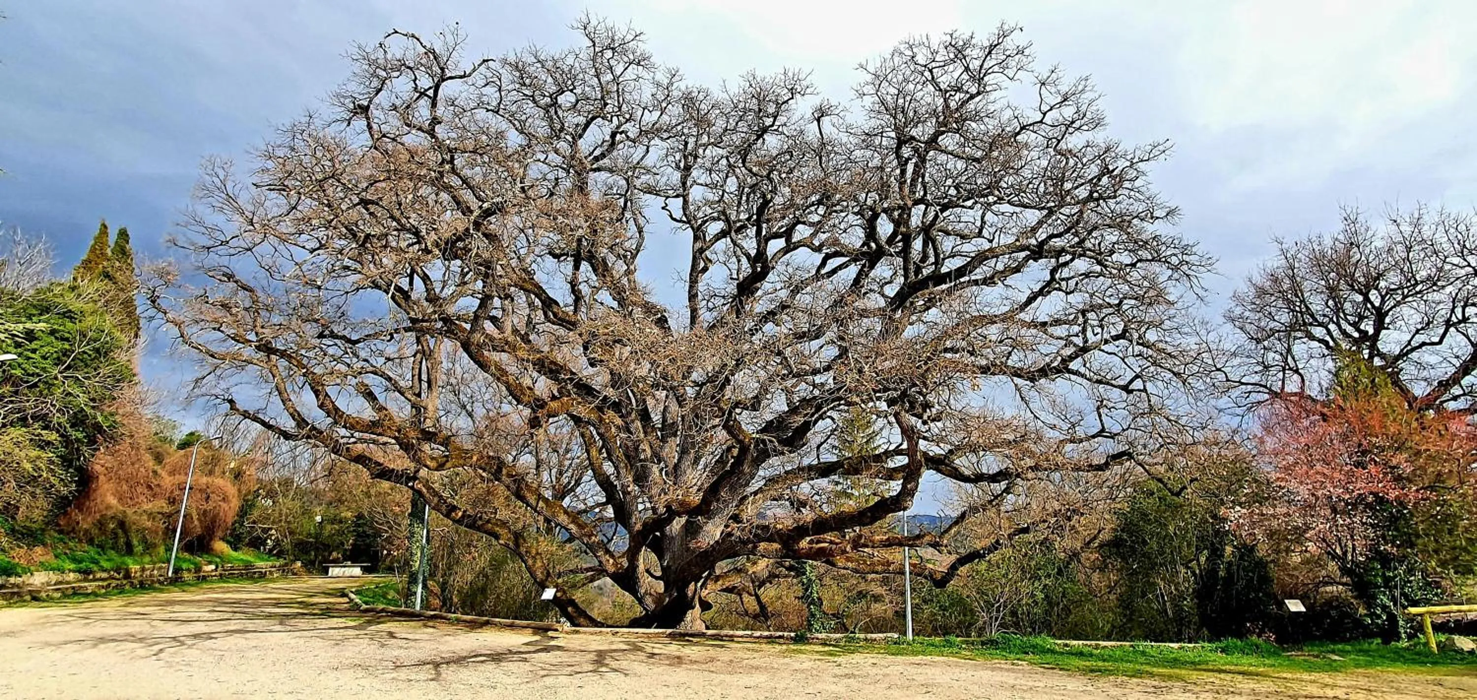 Nearby landmark in Le Mas Du Colombier