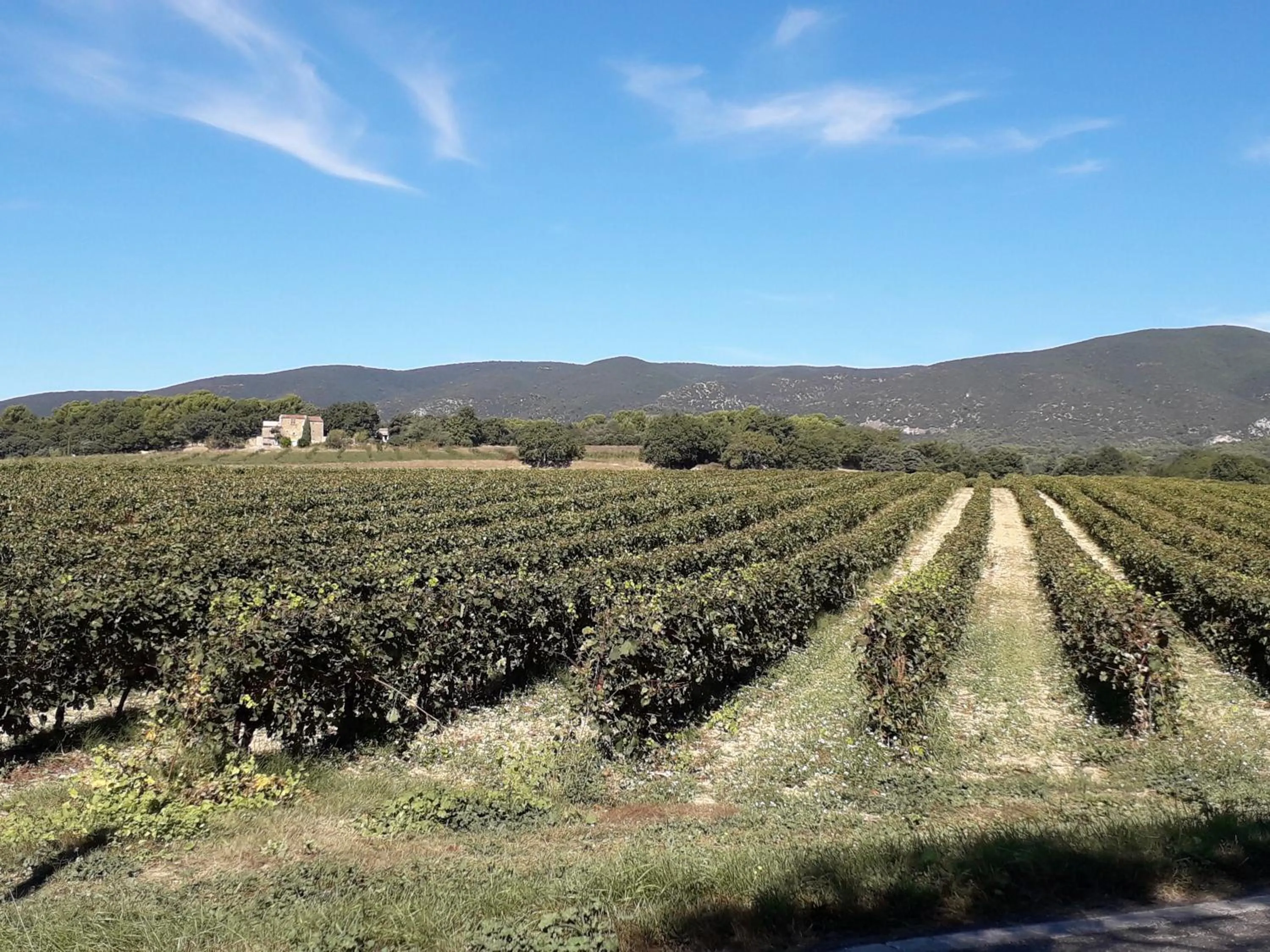 Nearby landmark in Le Mas Du Colombier