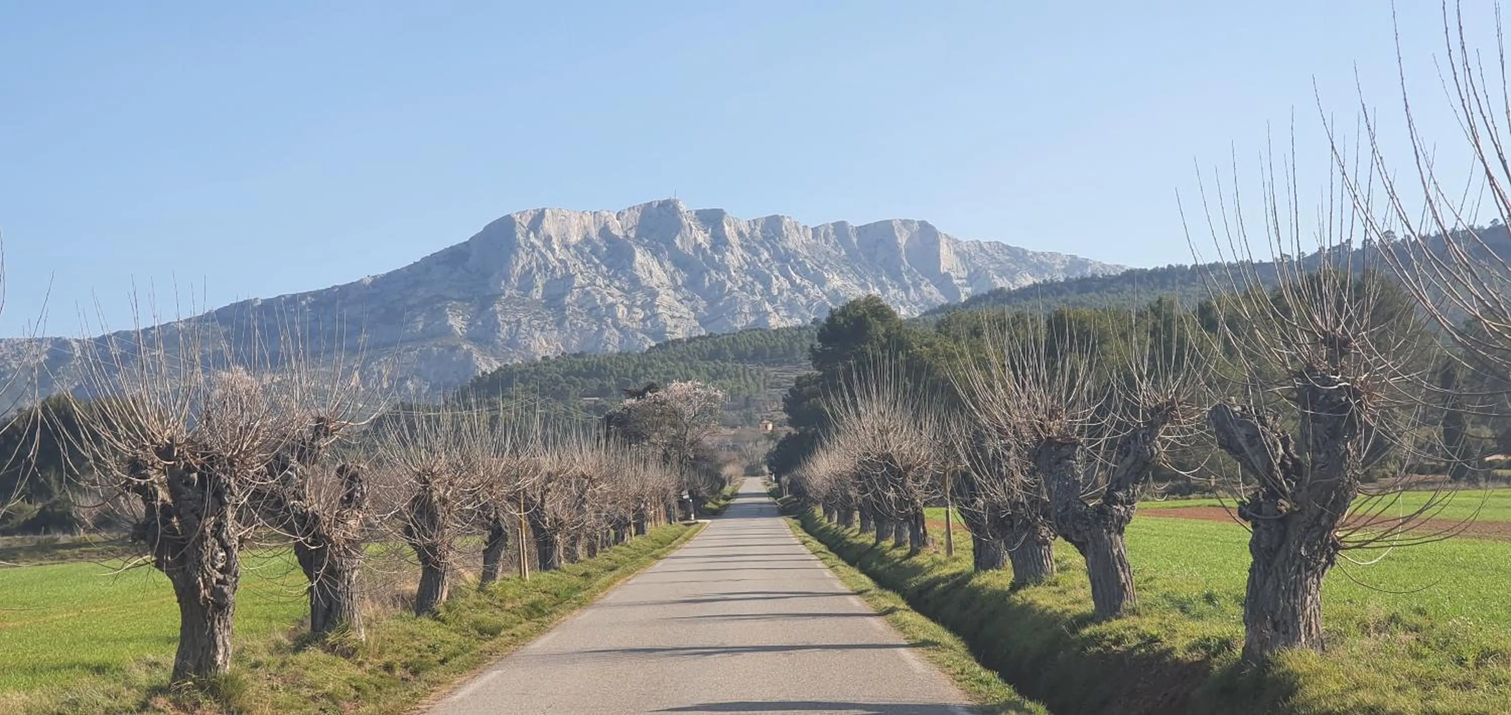 Nearby landmark in Le Mas Du Colombier