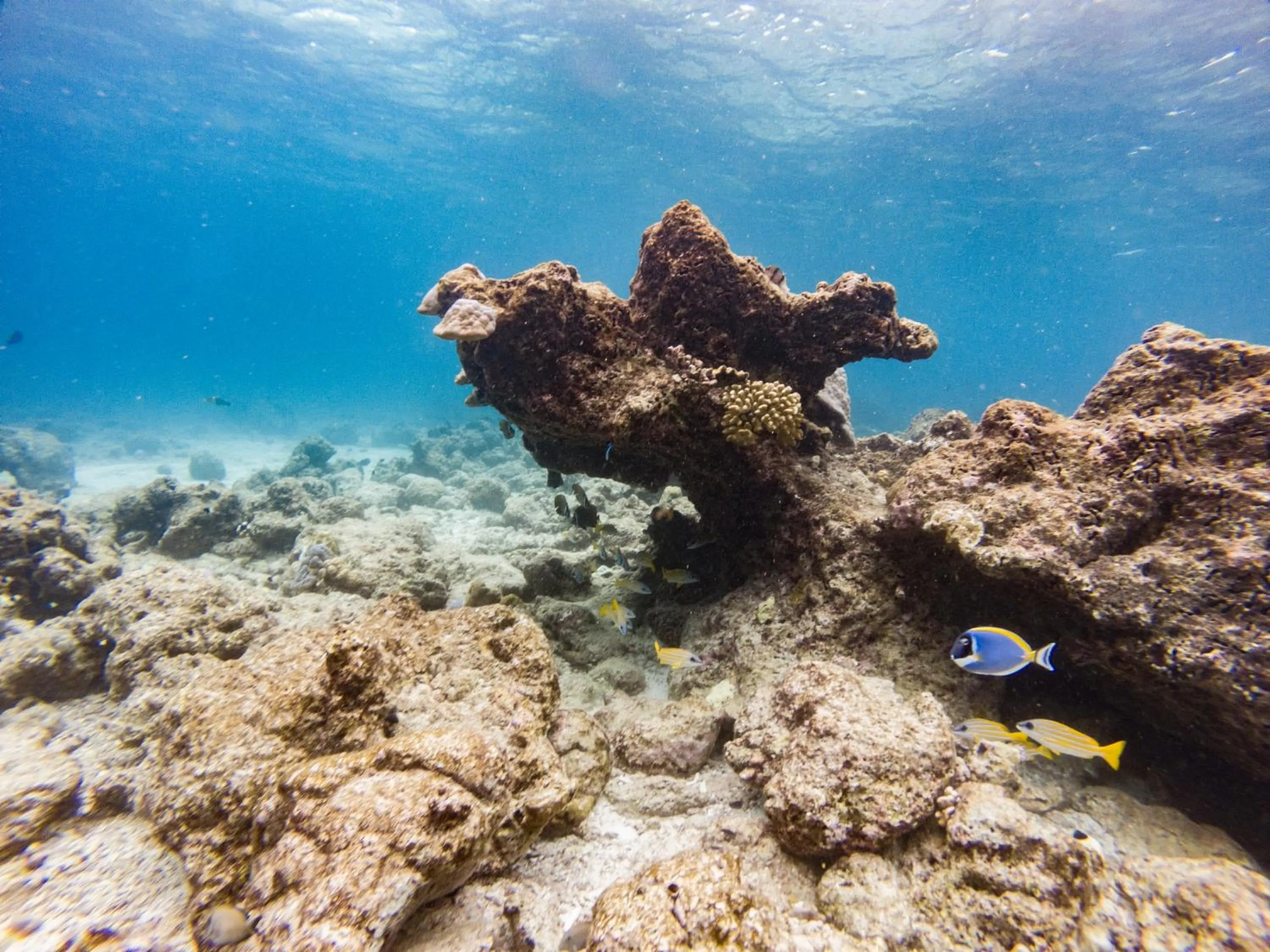 Sea view in One The Island