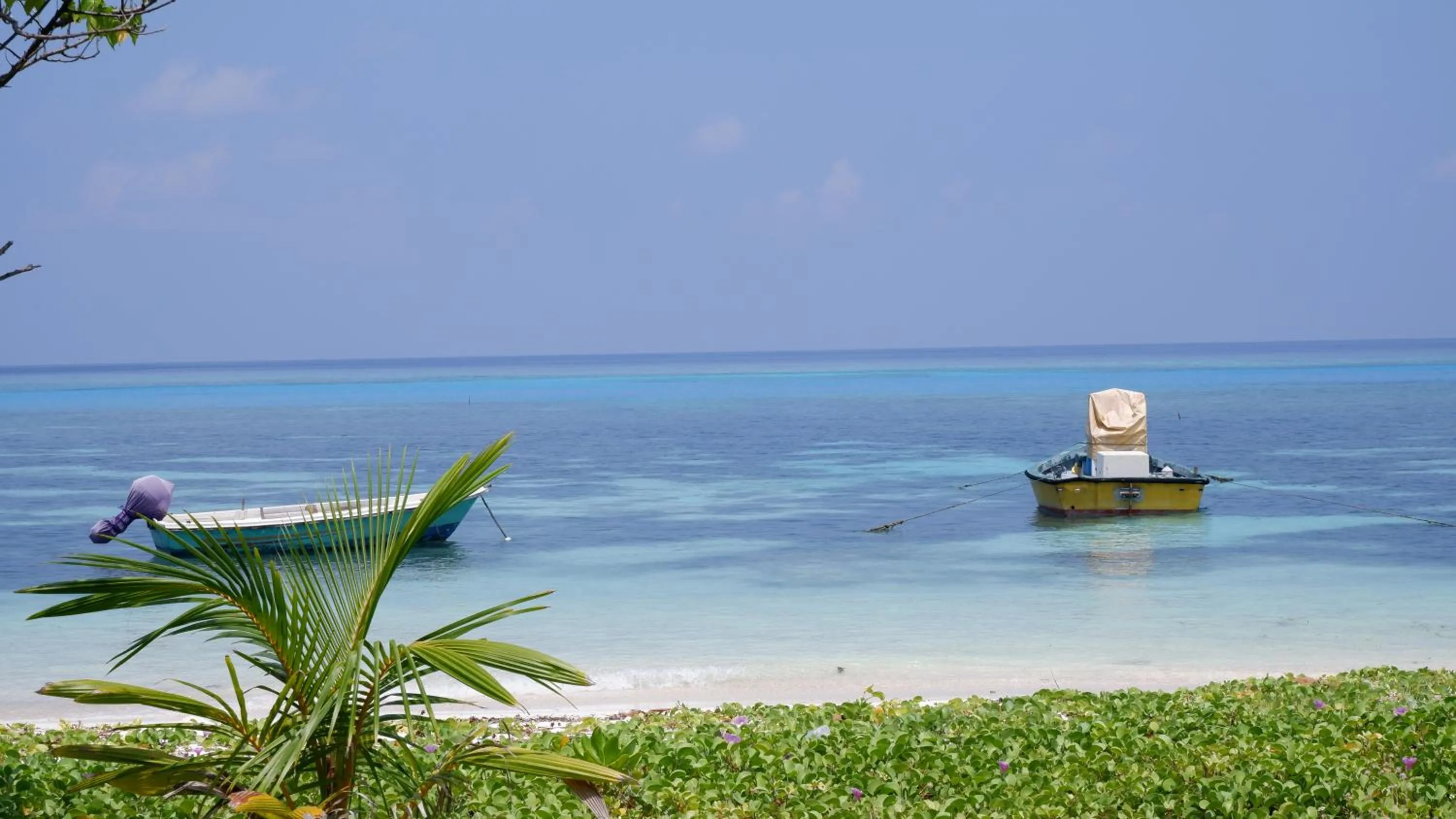 Beach in One The Island