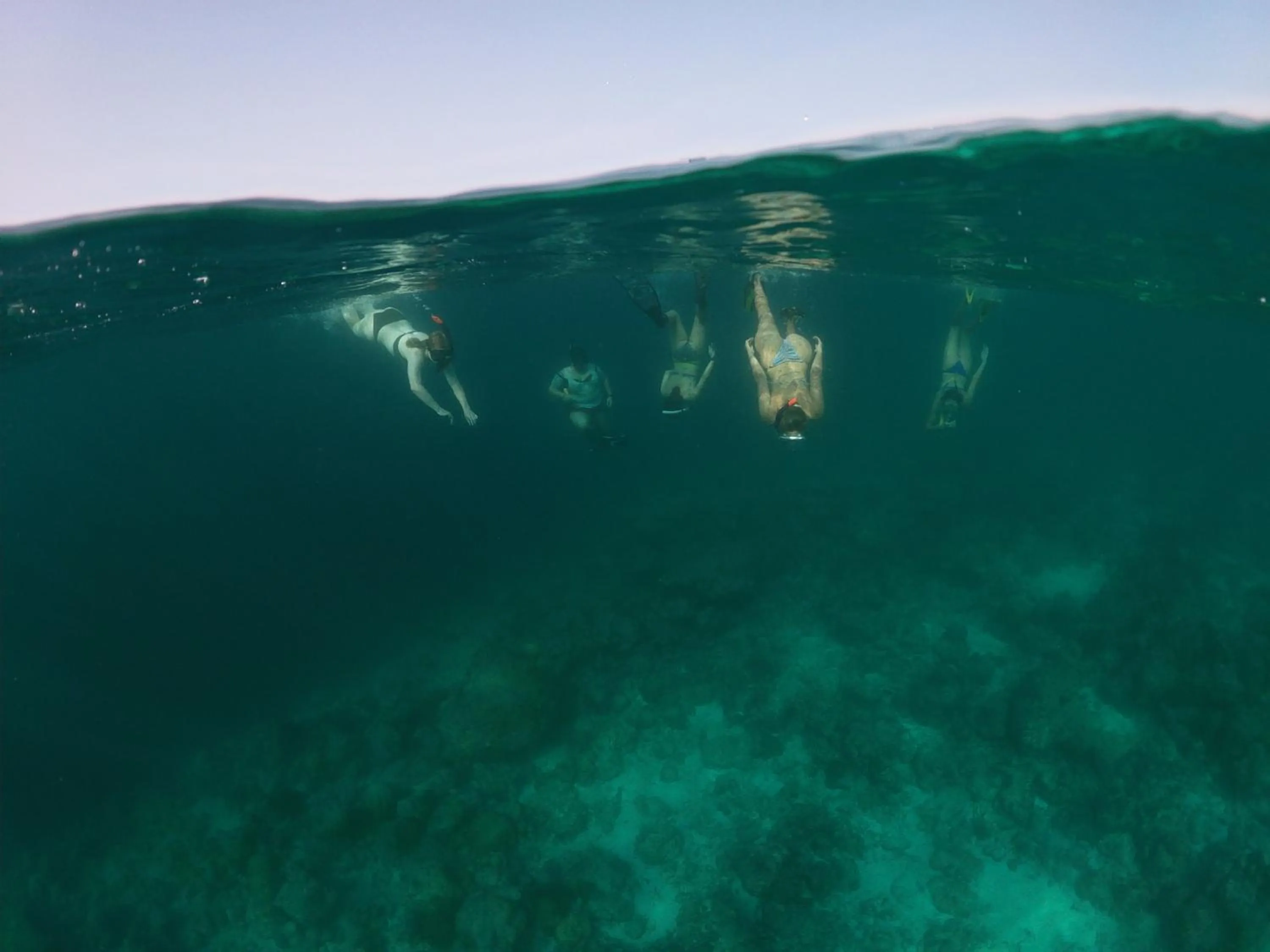 Snorkeling in One The Island