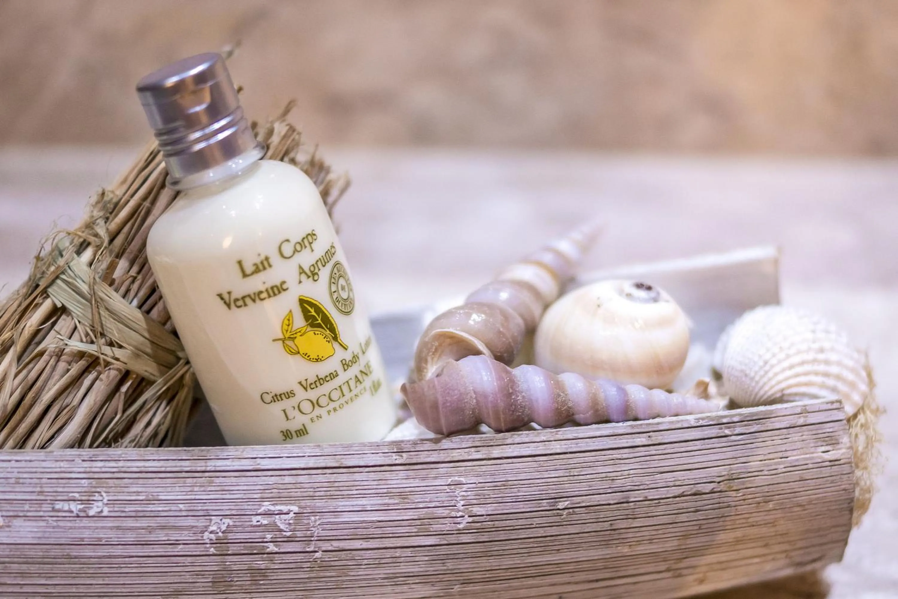 Lounge or bar in Hotel Villa Balidendê