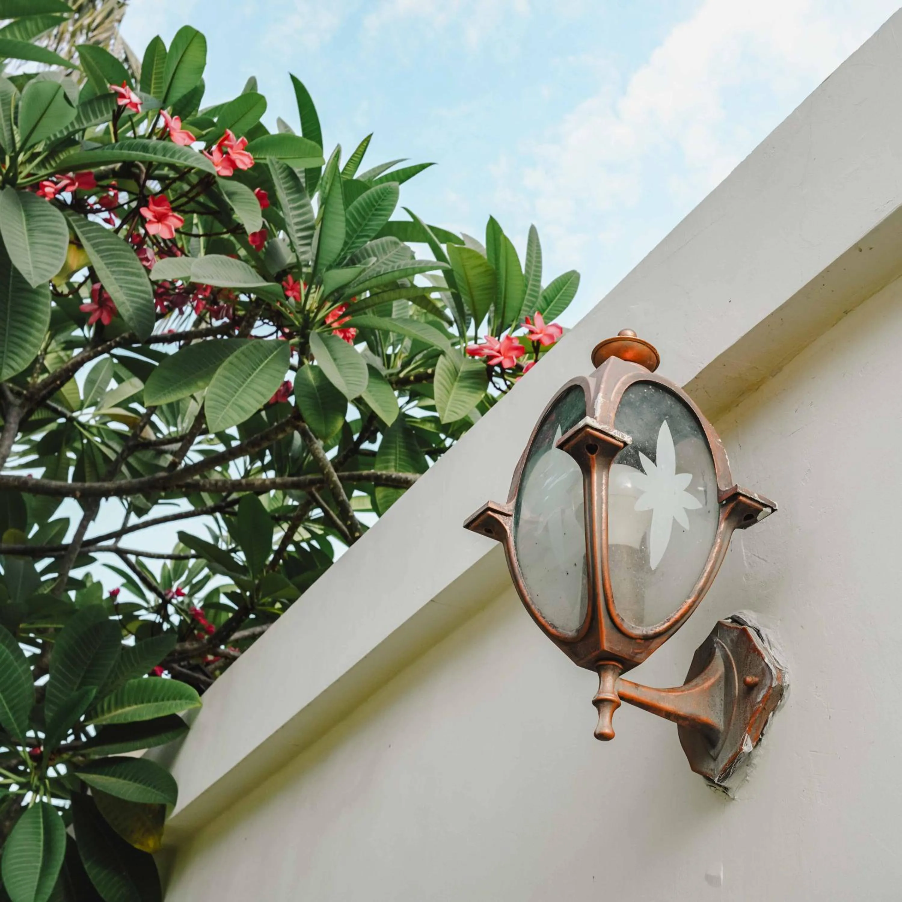 Decorative detail in Java Wood