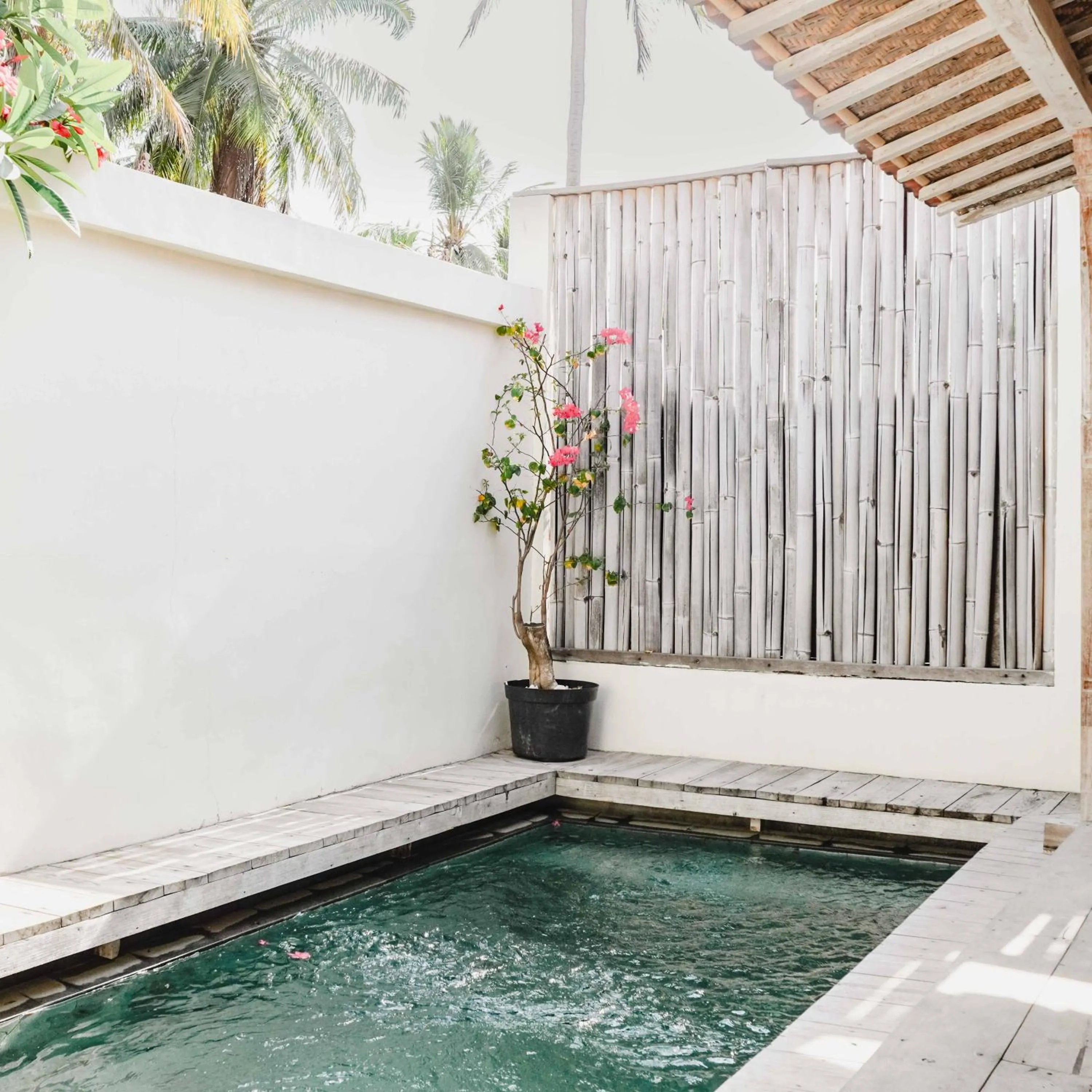 Swimming pool in Java Wood