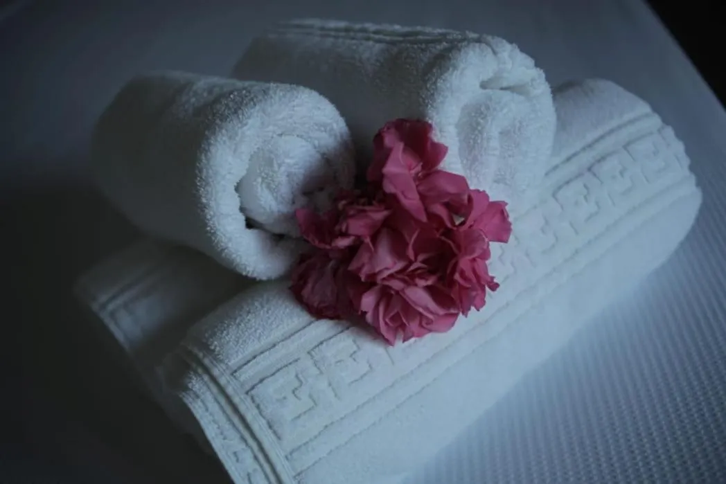 Decorative detail, Bed in Pousada Vila Camurim