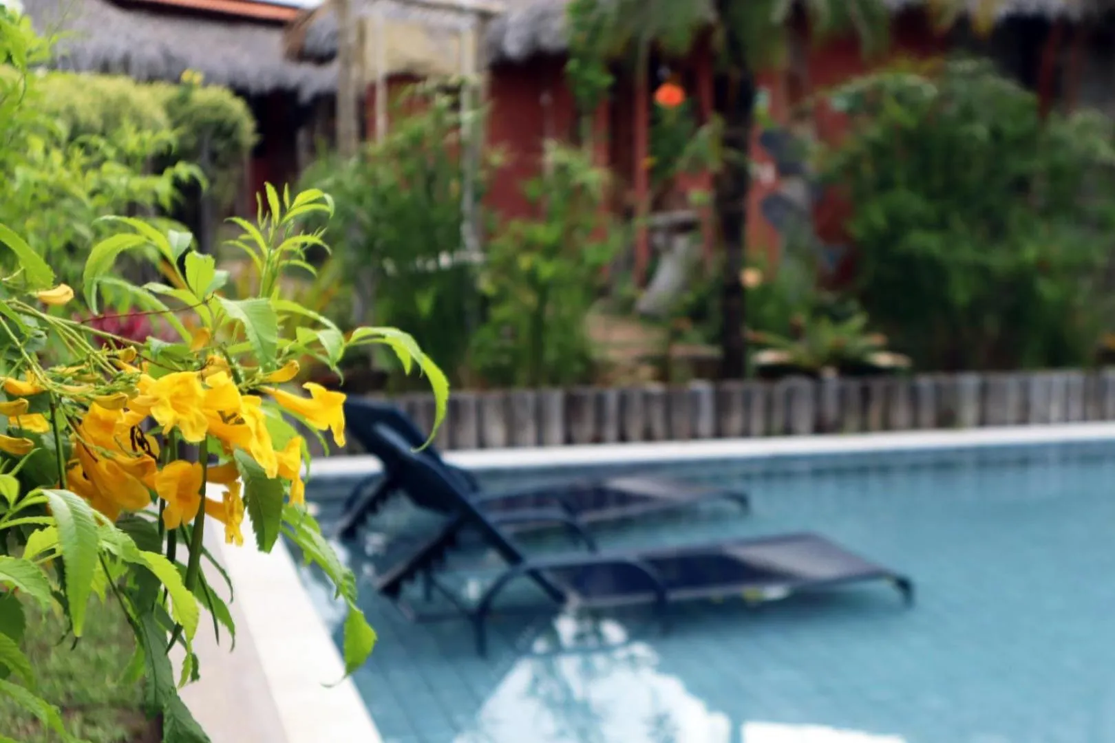 Pool view in Pousada Vila Camurim