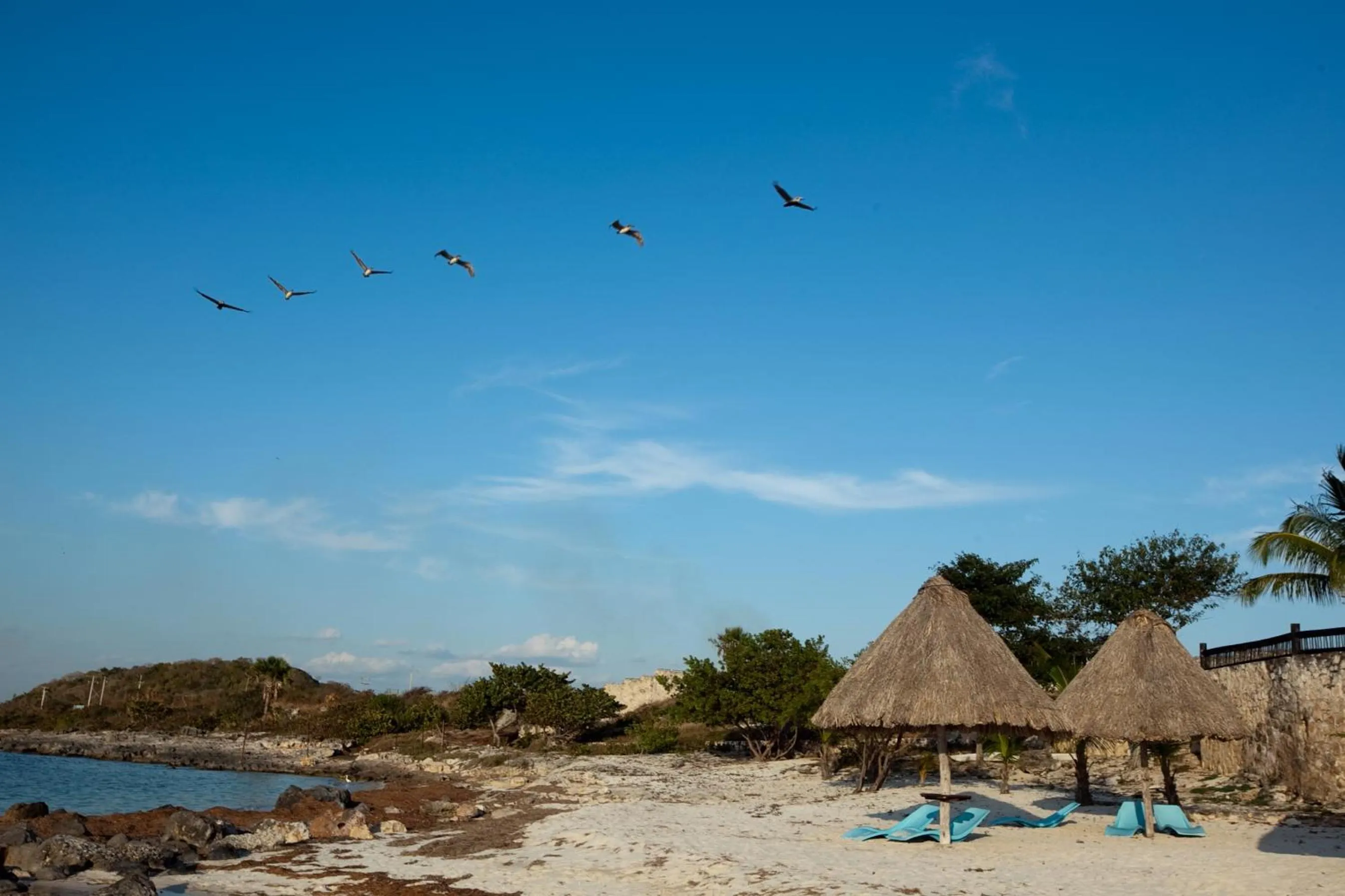 Beach in Hotel Tucan Siho Playa