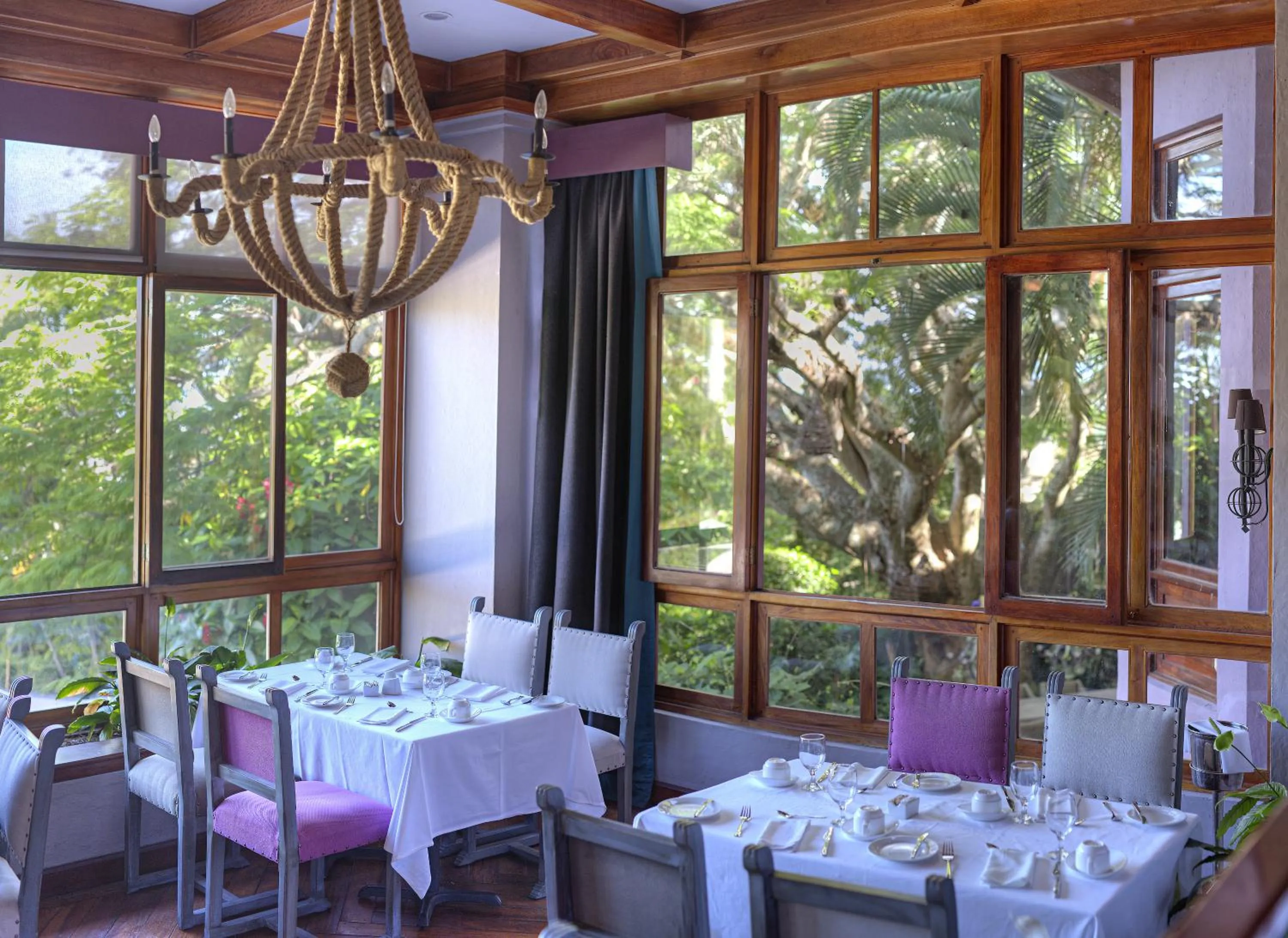 Lounge or bar in Alta Las Palomas Hotel