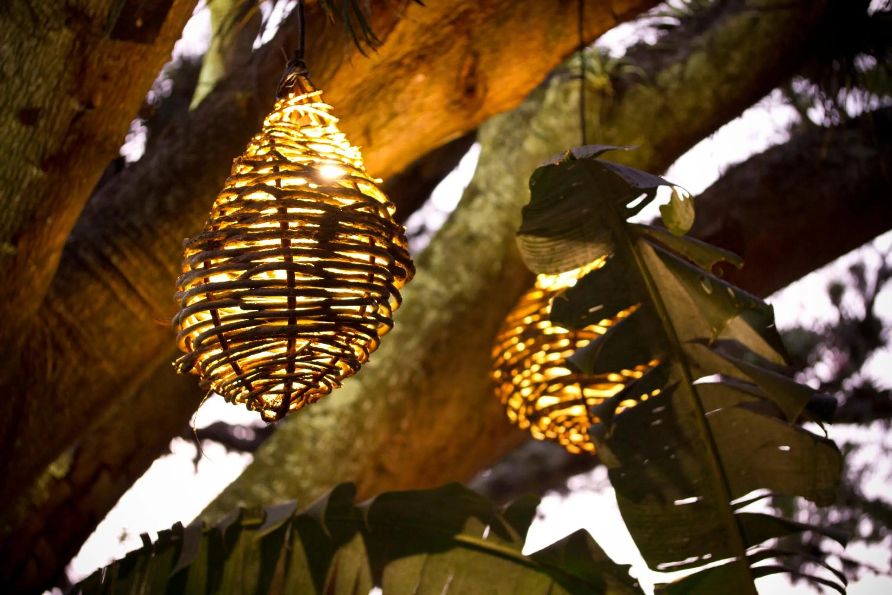 Garden in Alta Las Palomas Hotel