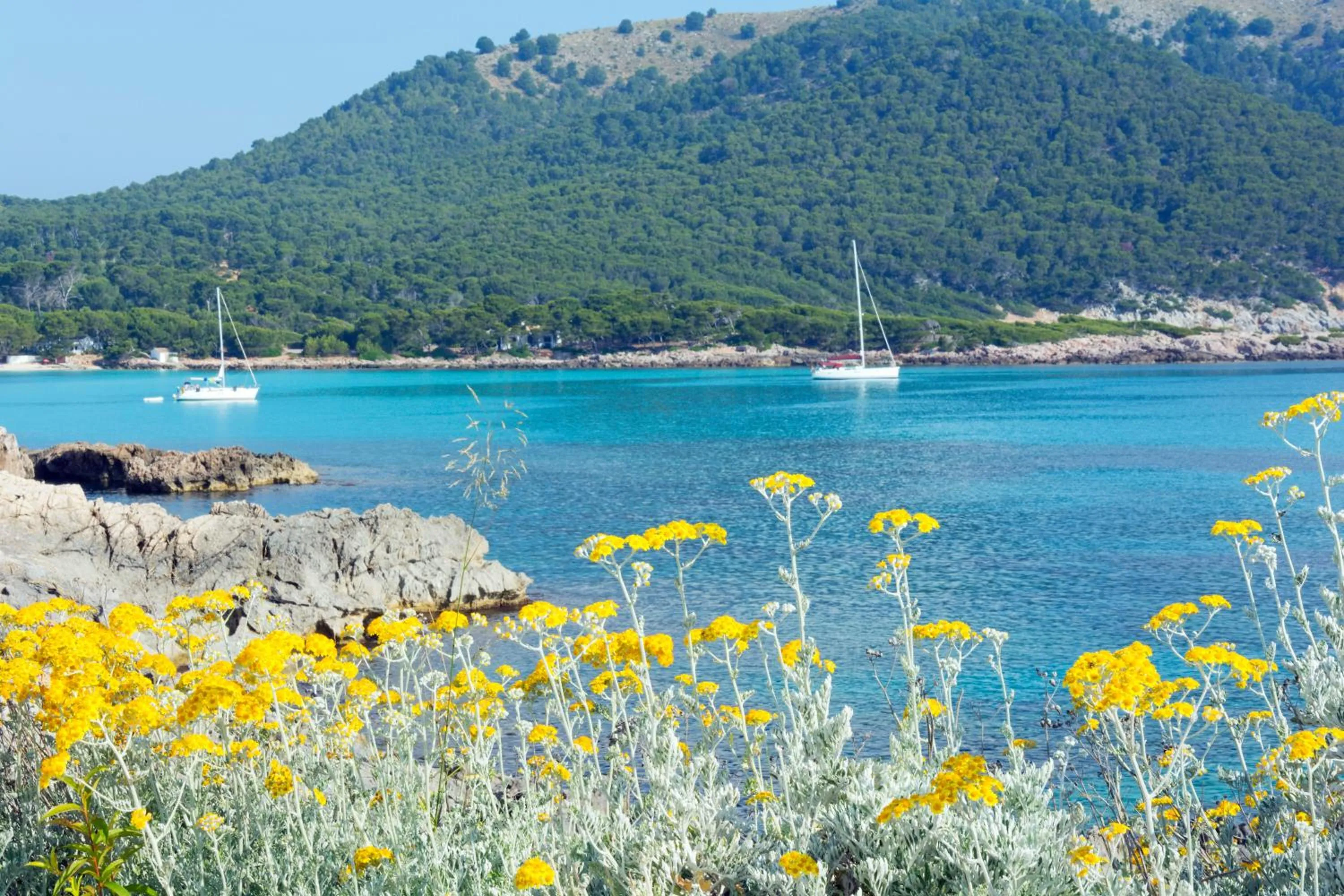 Sea view in HSM Regana - Adults Only