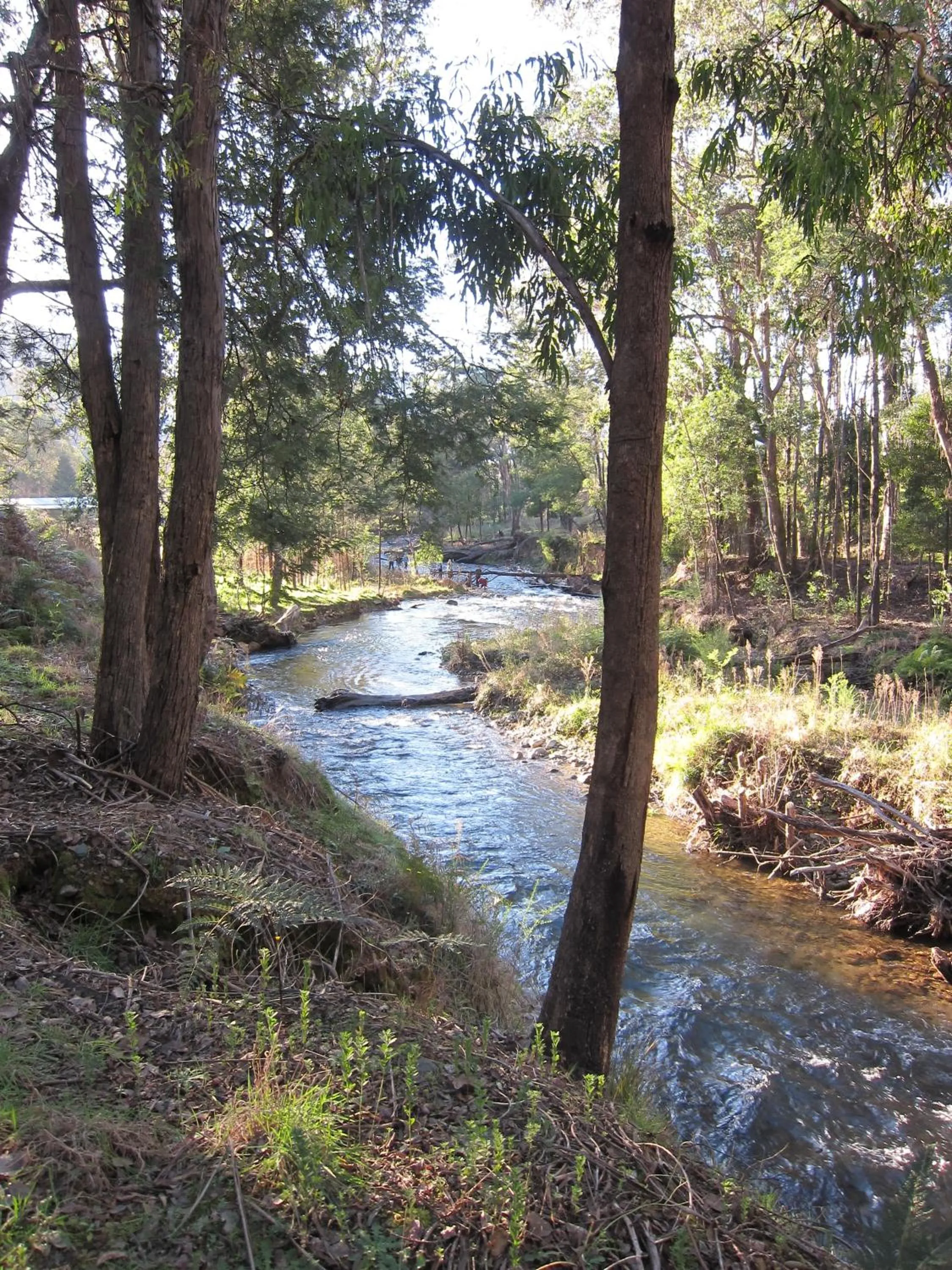 Fishing in The Harrietville Snowline Hotel