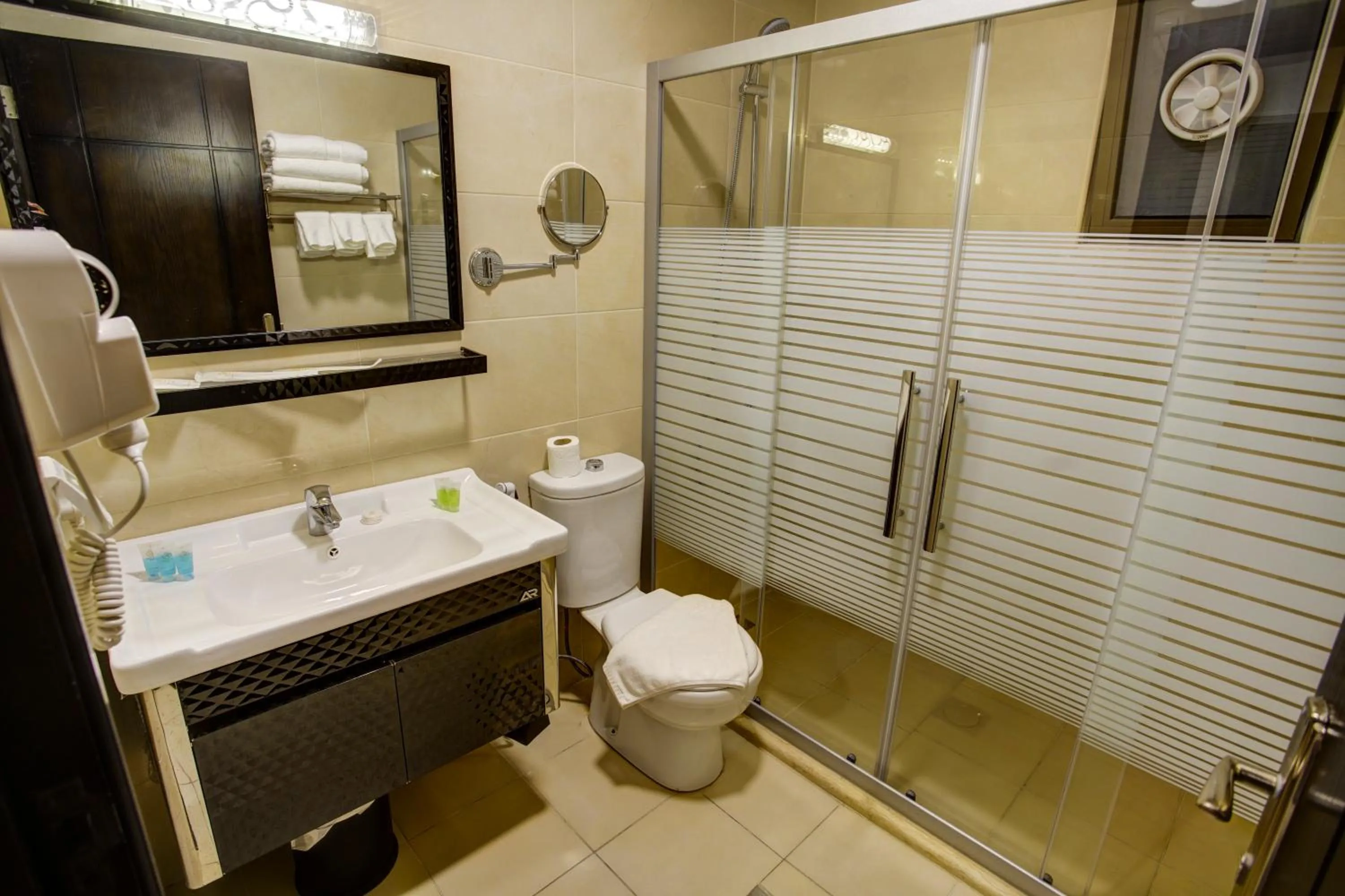 Shower in AQABA COAST HOTEL