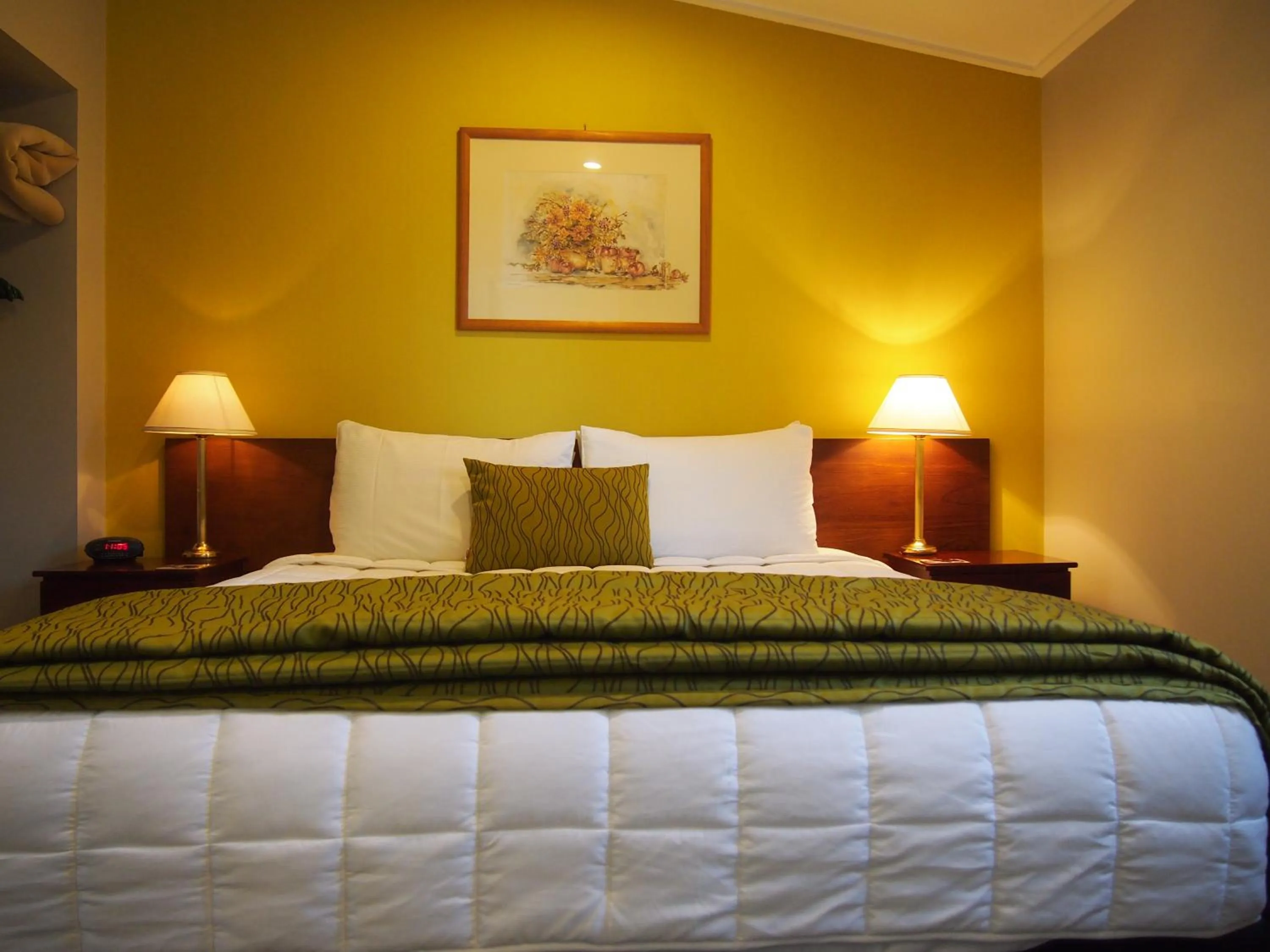 Bed in Shades of Arrowtown