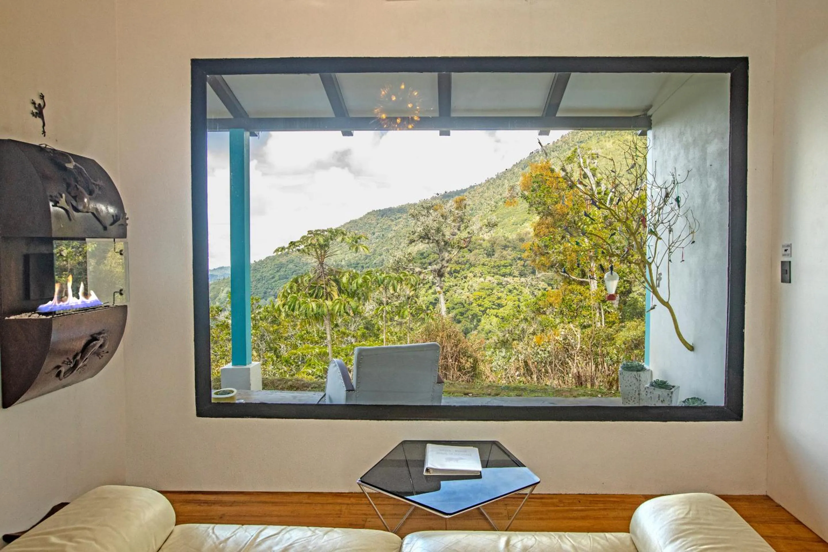 View (from property/room) in Dantica Cloud Forest Lodge