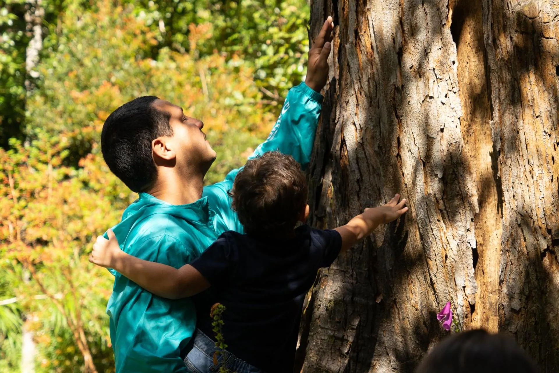 Natural landscape in Dantica Cloud Forest Lodge