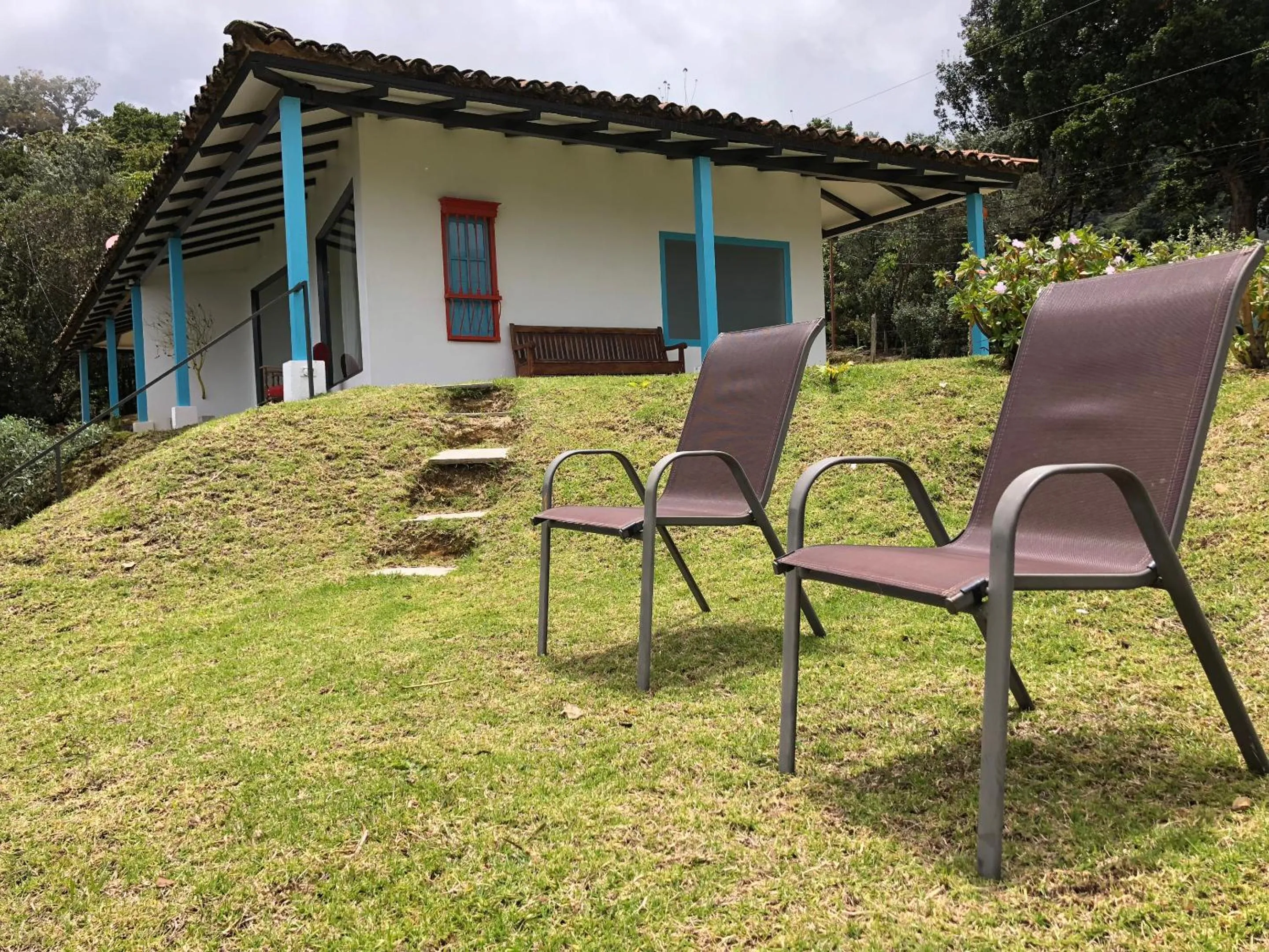 Garden in Dantica Cloud Forest Lodge