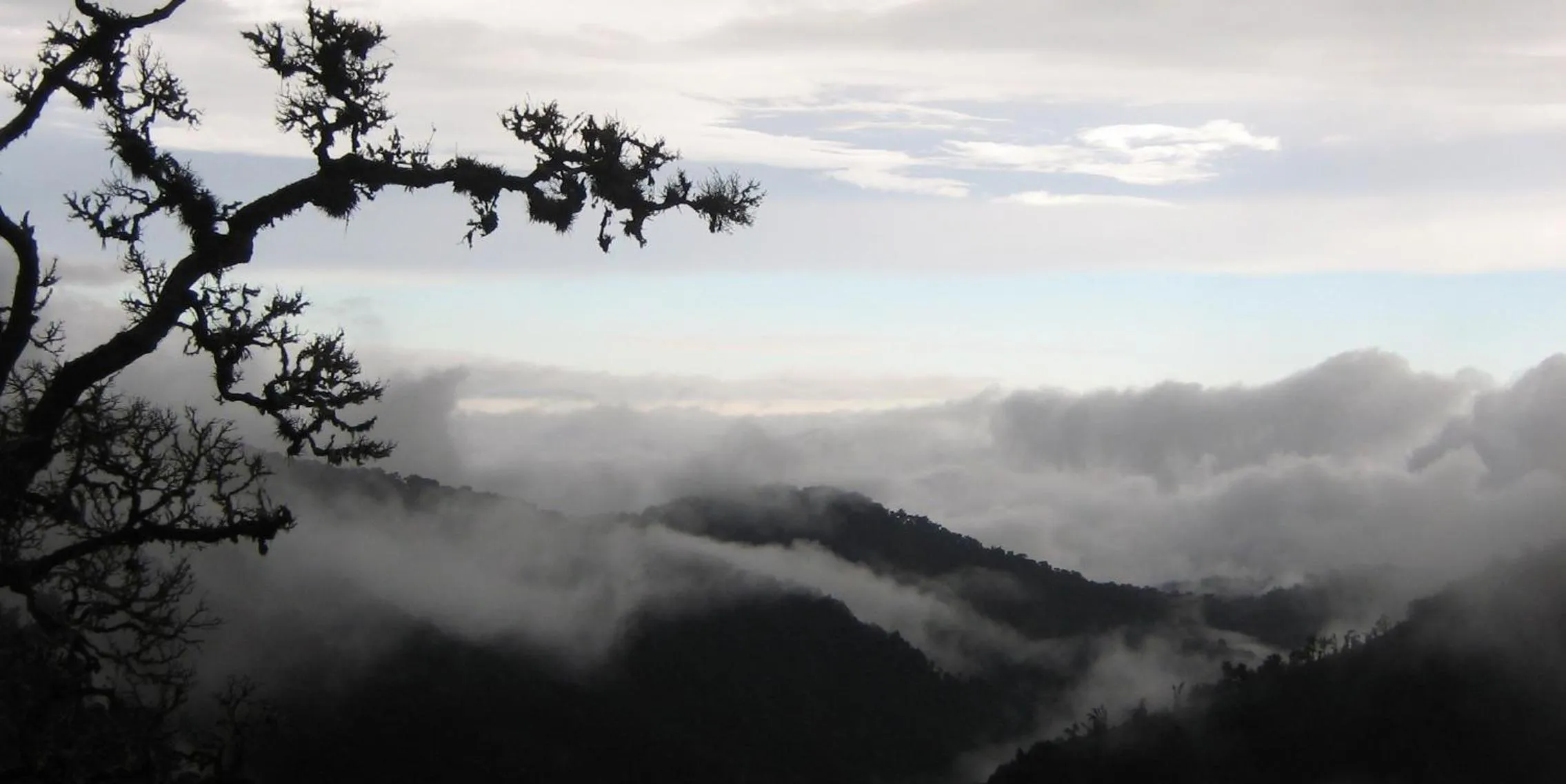 View (from property/room) in Dantica Cloud Forest Lodge