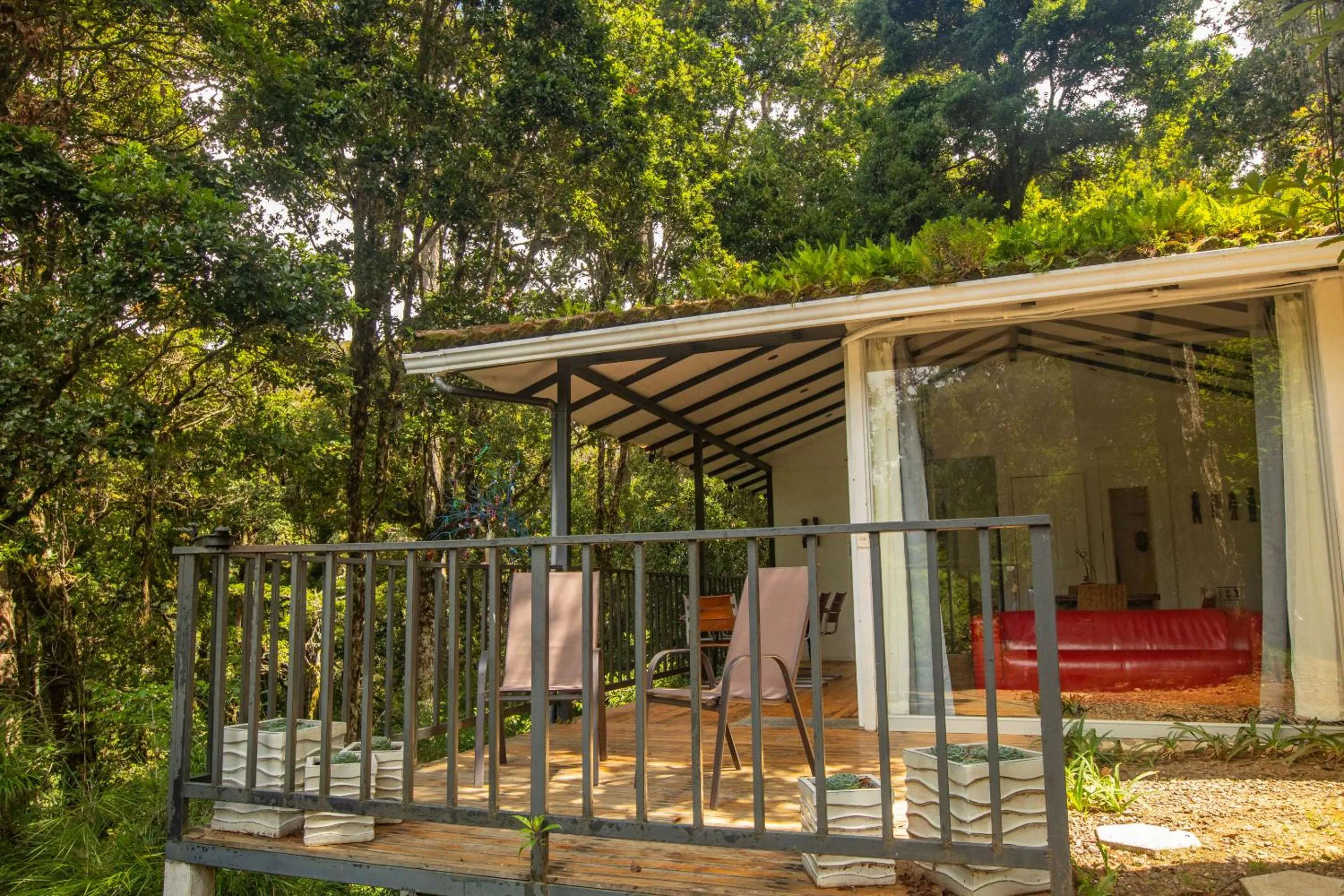 Balcony/Terrace in Dantica Cloud Forest Lodge