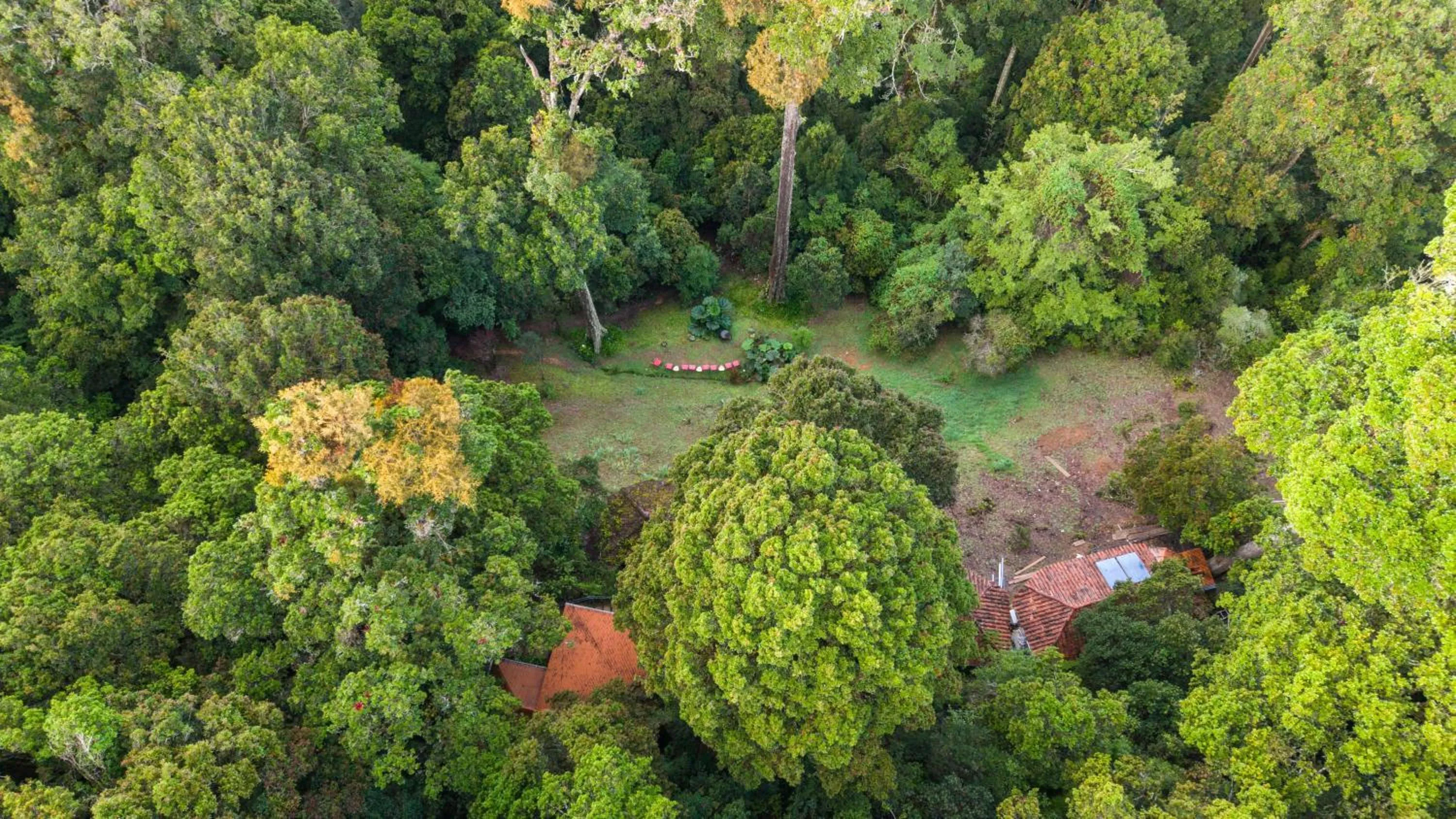 Day in Dantica Cloud Forest Lodge
