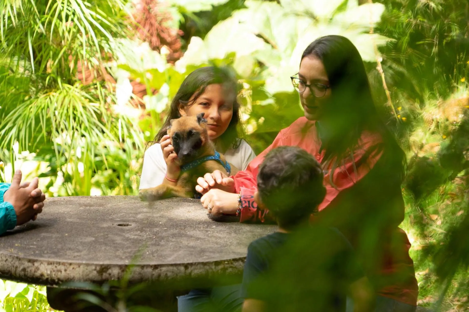 Garden in Dantica Cloud Forest Lodge