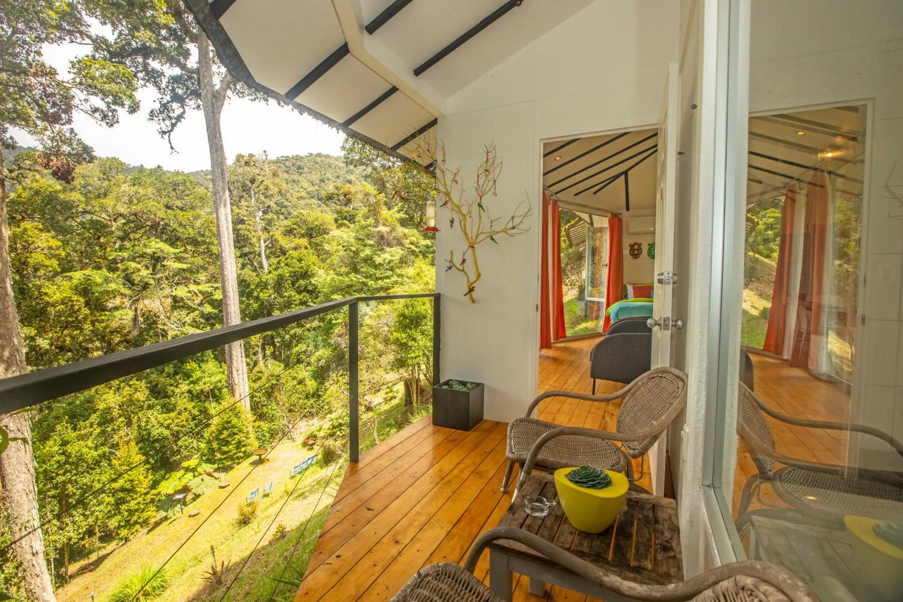 View (from property/room) in Dantica Cloud Forest Lodge