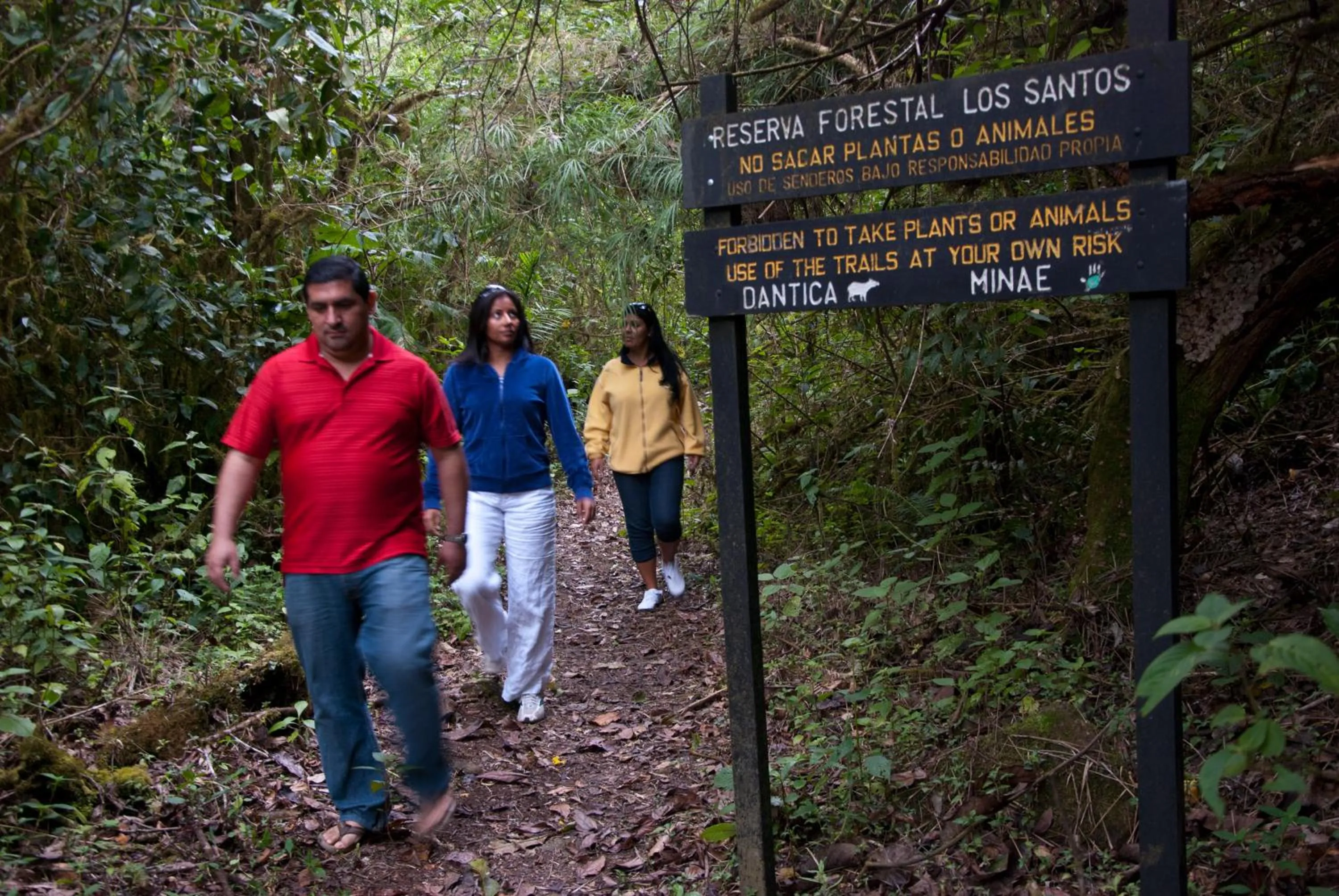Activities in Dantica Cloud Forest Lodge
