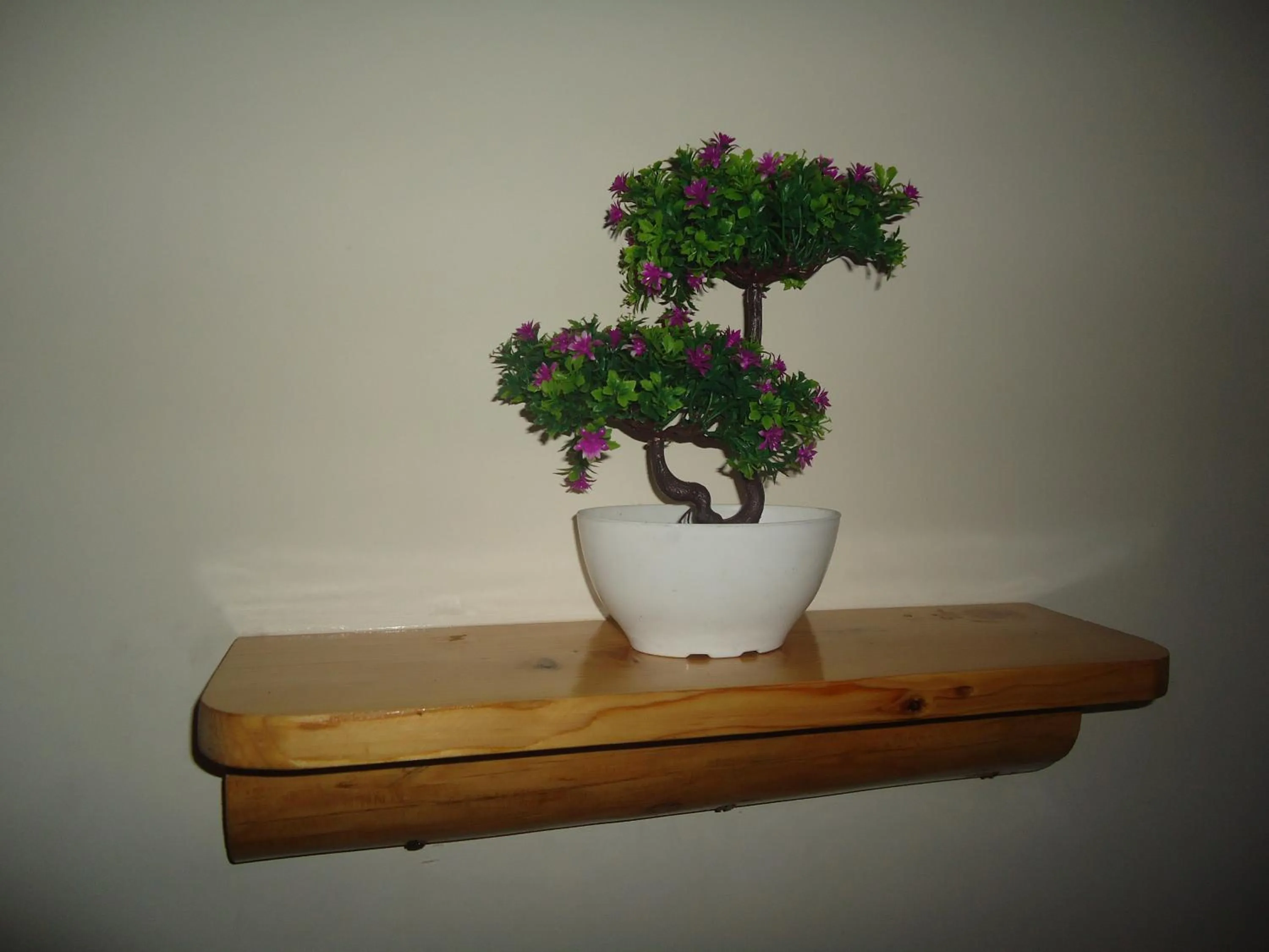 Hotel Mountain Trail Manali