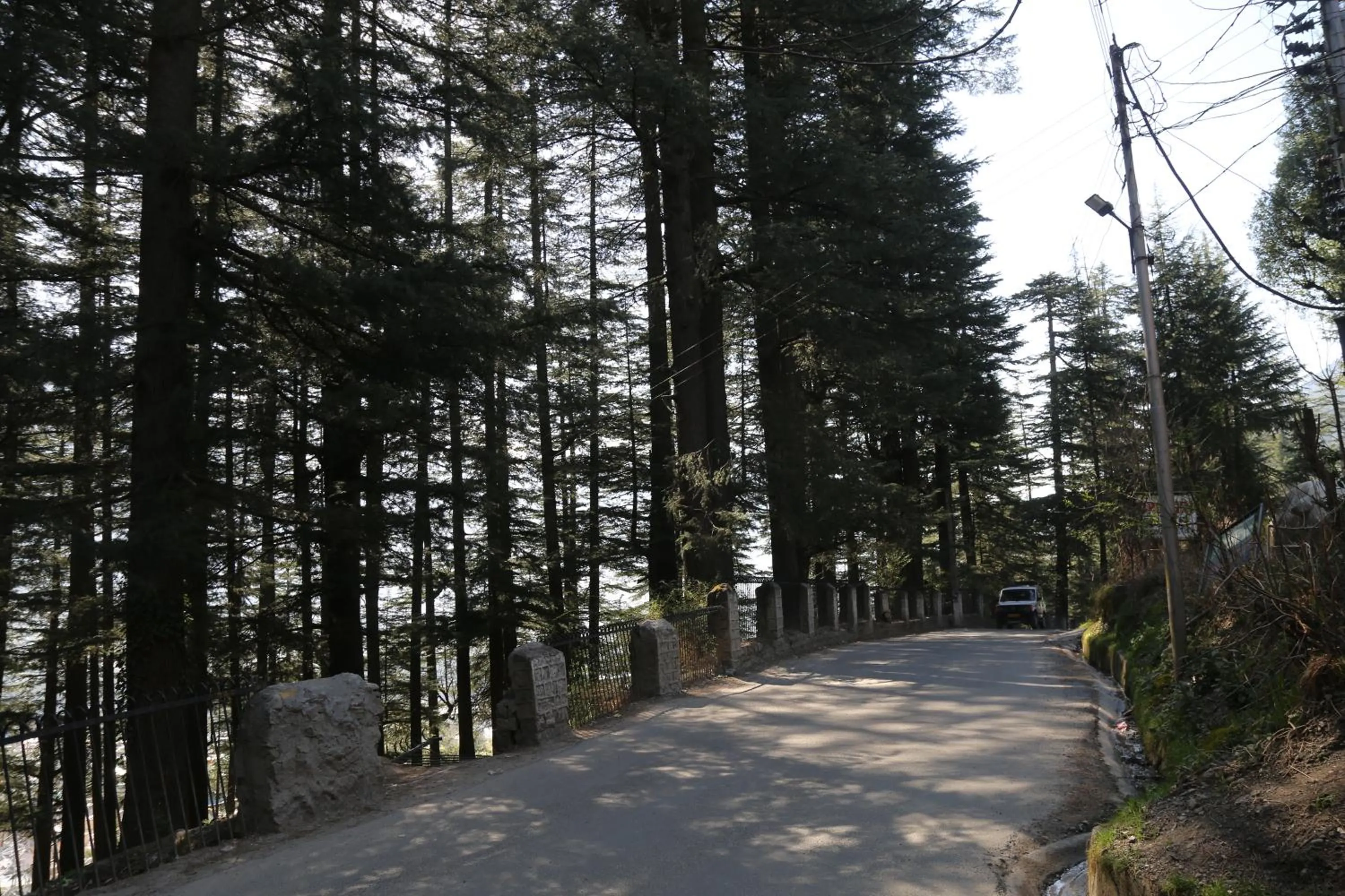 Hotel Mountain Trail Manali