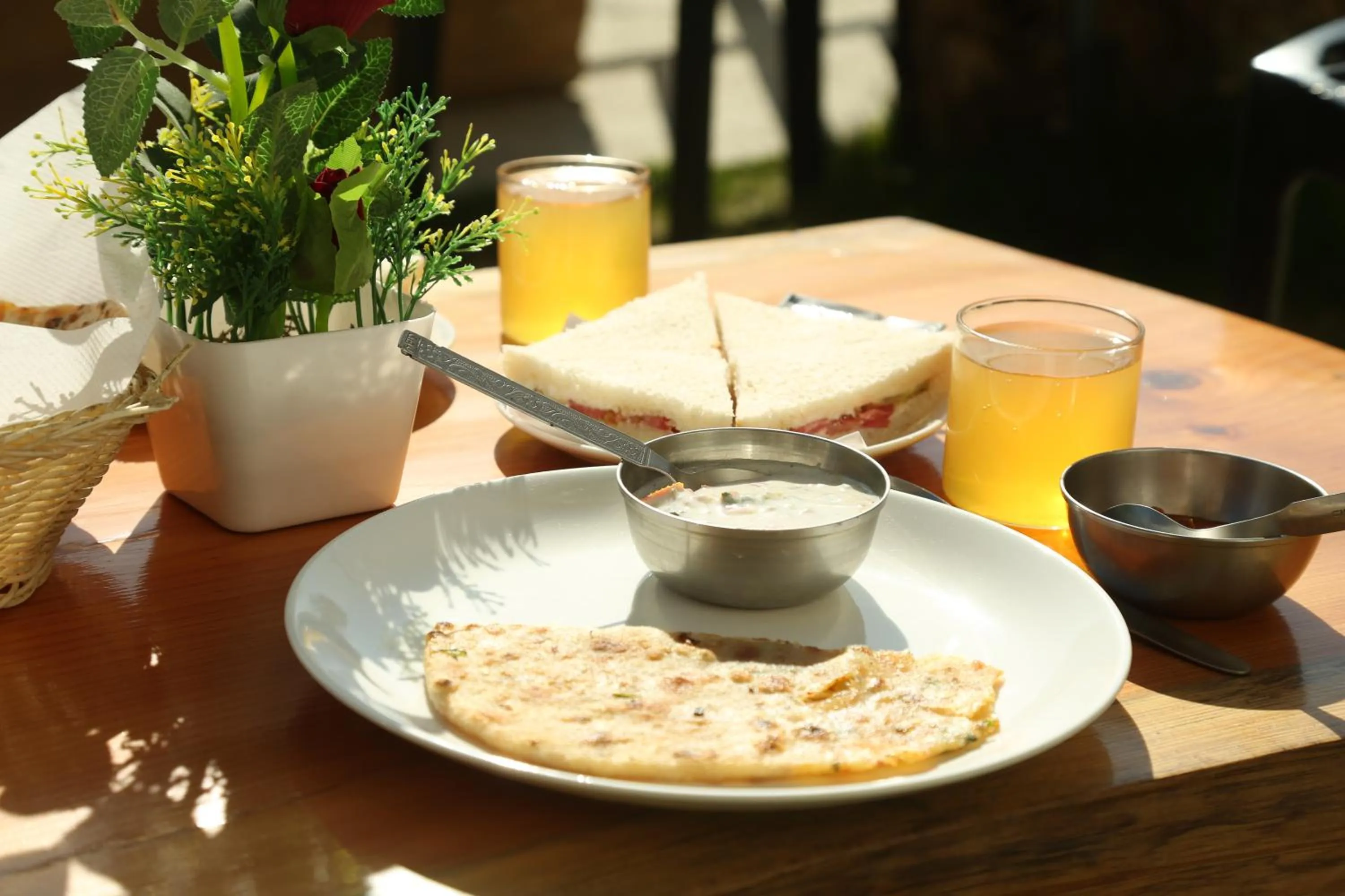 Hotel Mountain Trail Manali