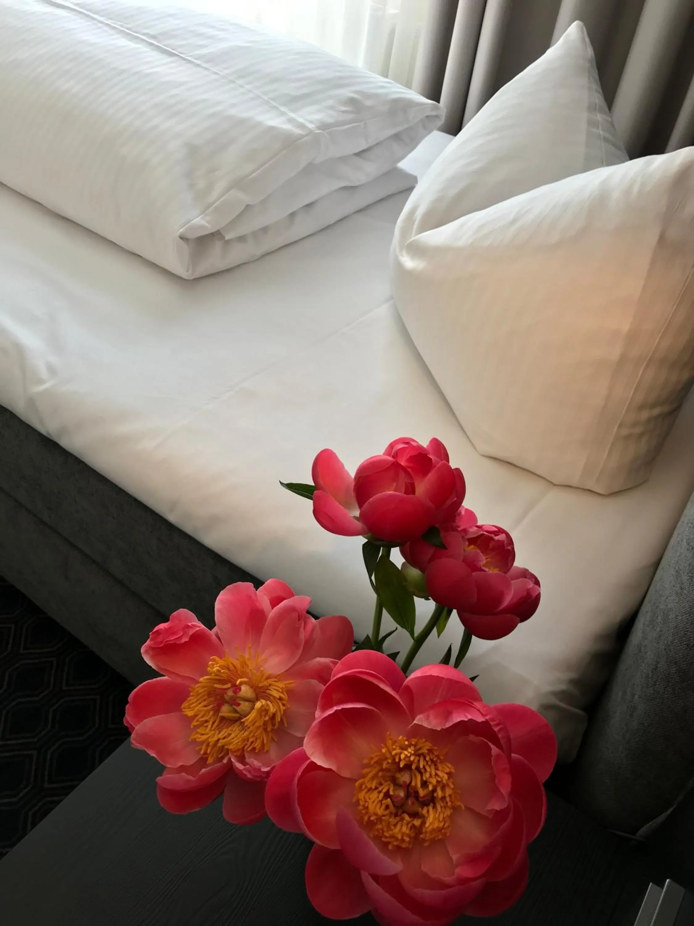 TV and multimedia, Bed in ROSS Hotel nähe Messe Stuttgart