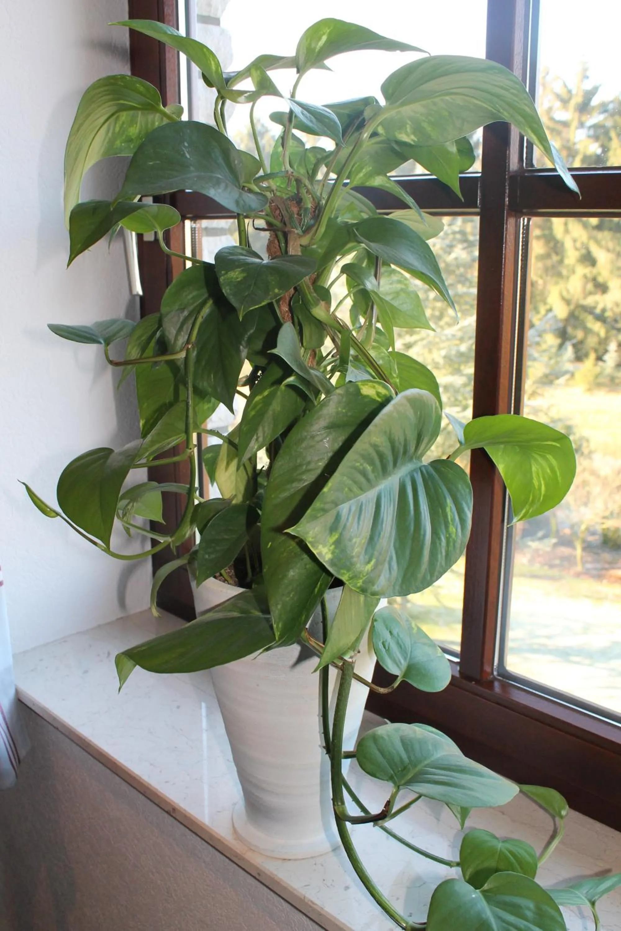 Decorative detail in Landhaus Hotel Göke