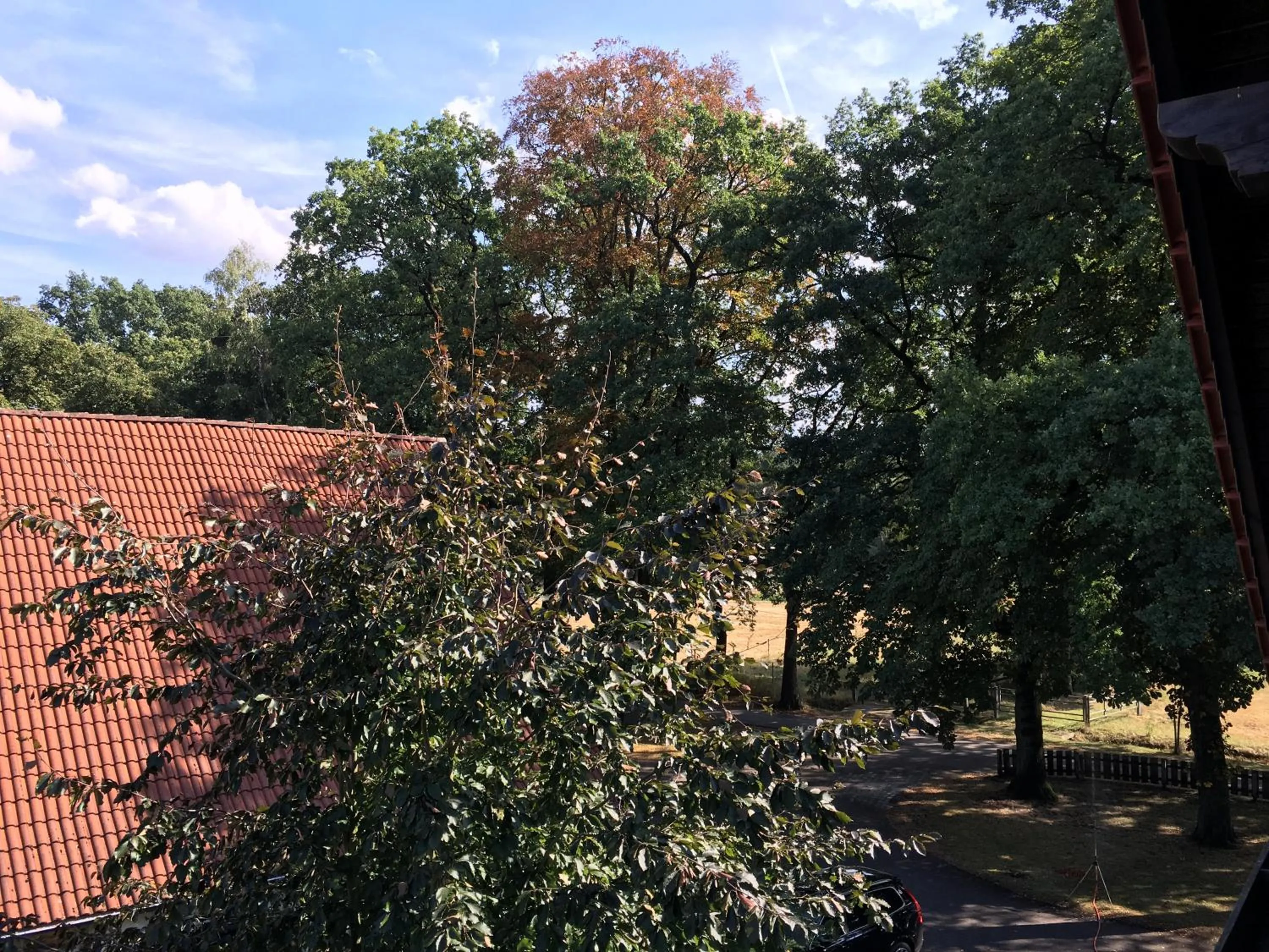Garden view in Landhaus Hotel Göke