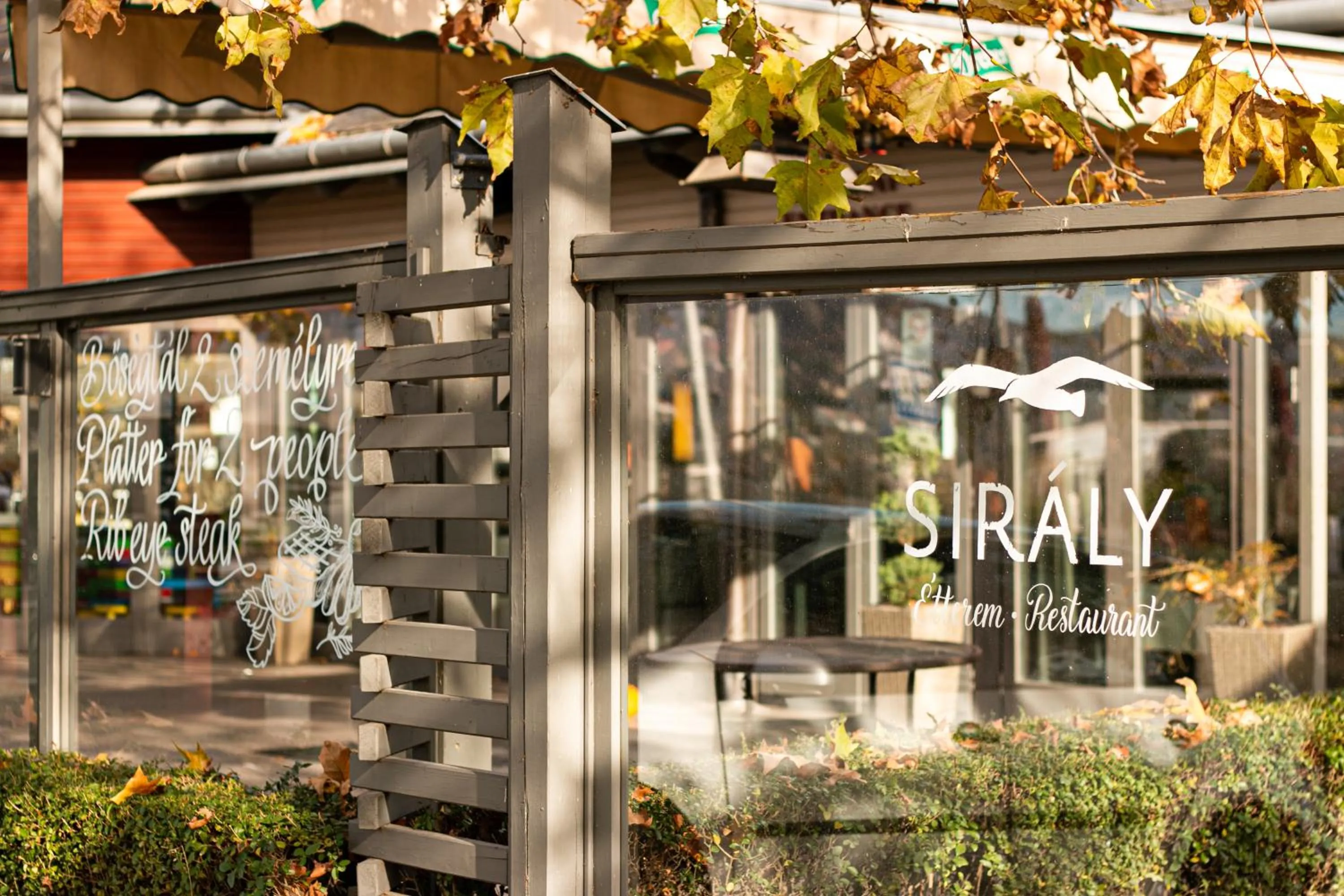 Restaurant/places to eat in Hotel Visegrád