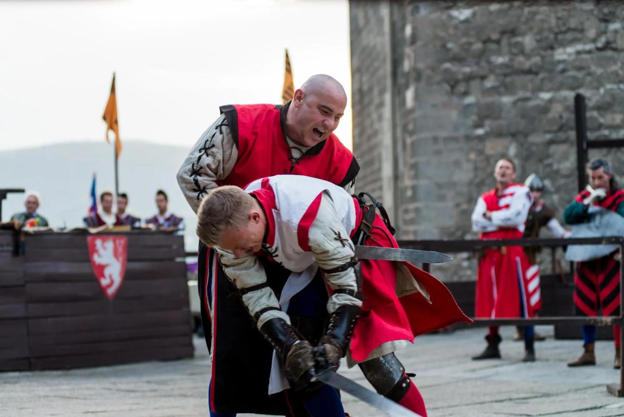 Area and facilities in Hotel Visegrád